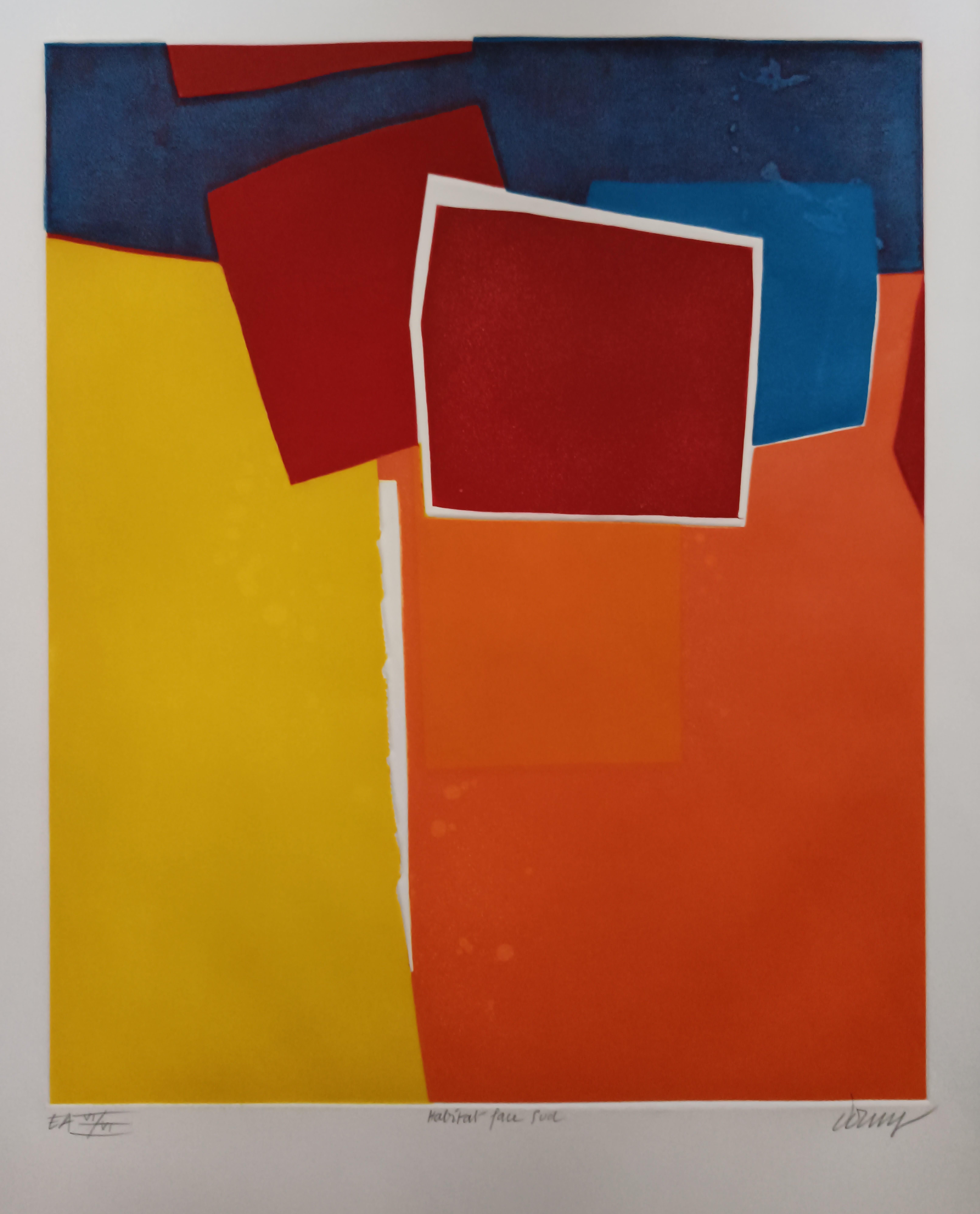 Bertrand Dorny Abstract Print - Habitat Face Sud, 1972