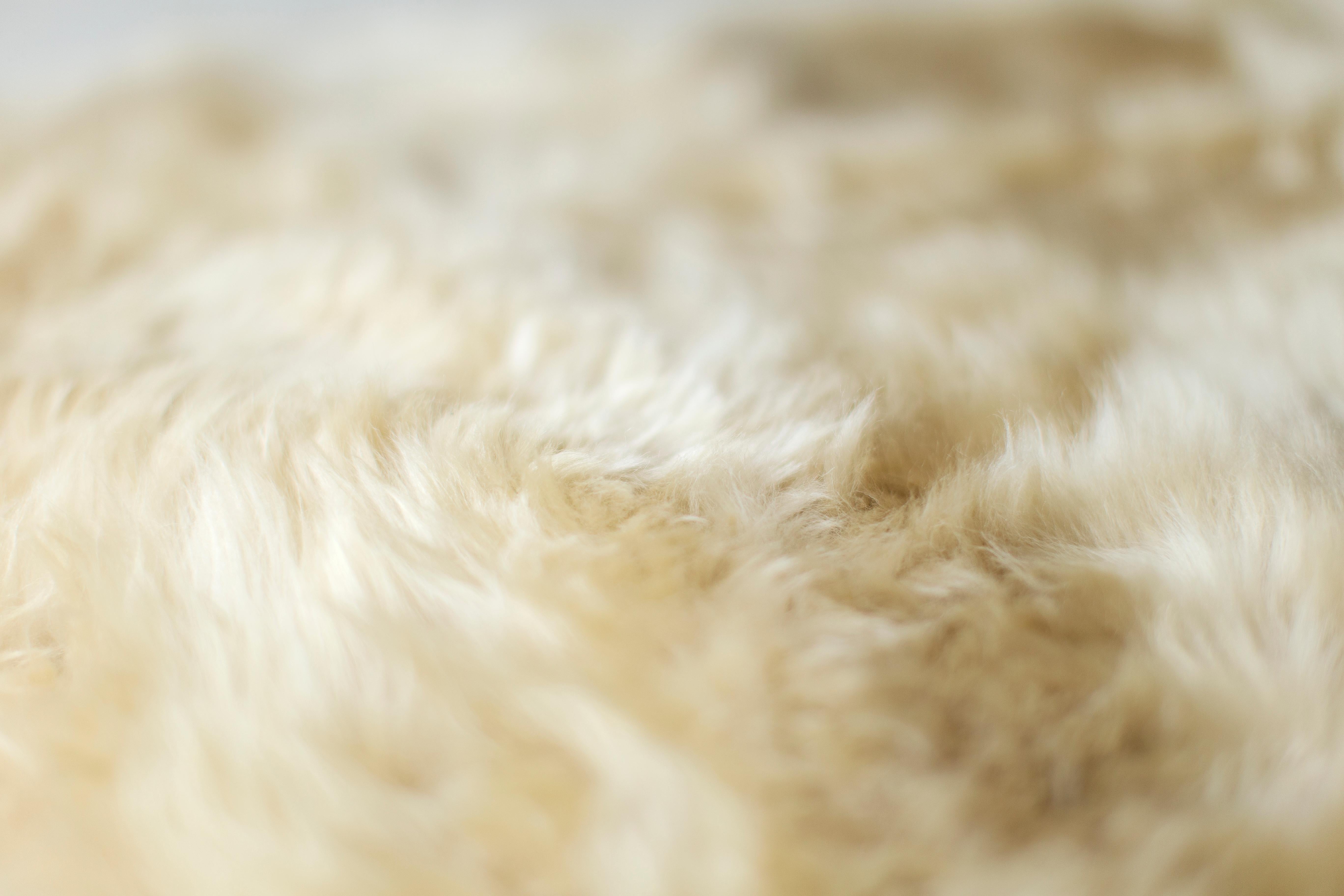 Bertu Benches, Suelo Big Modern Sheepskin Fur Bench, Sheepskin with Maple For Sale 1