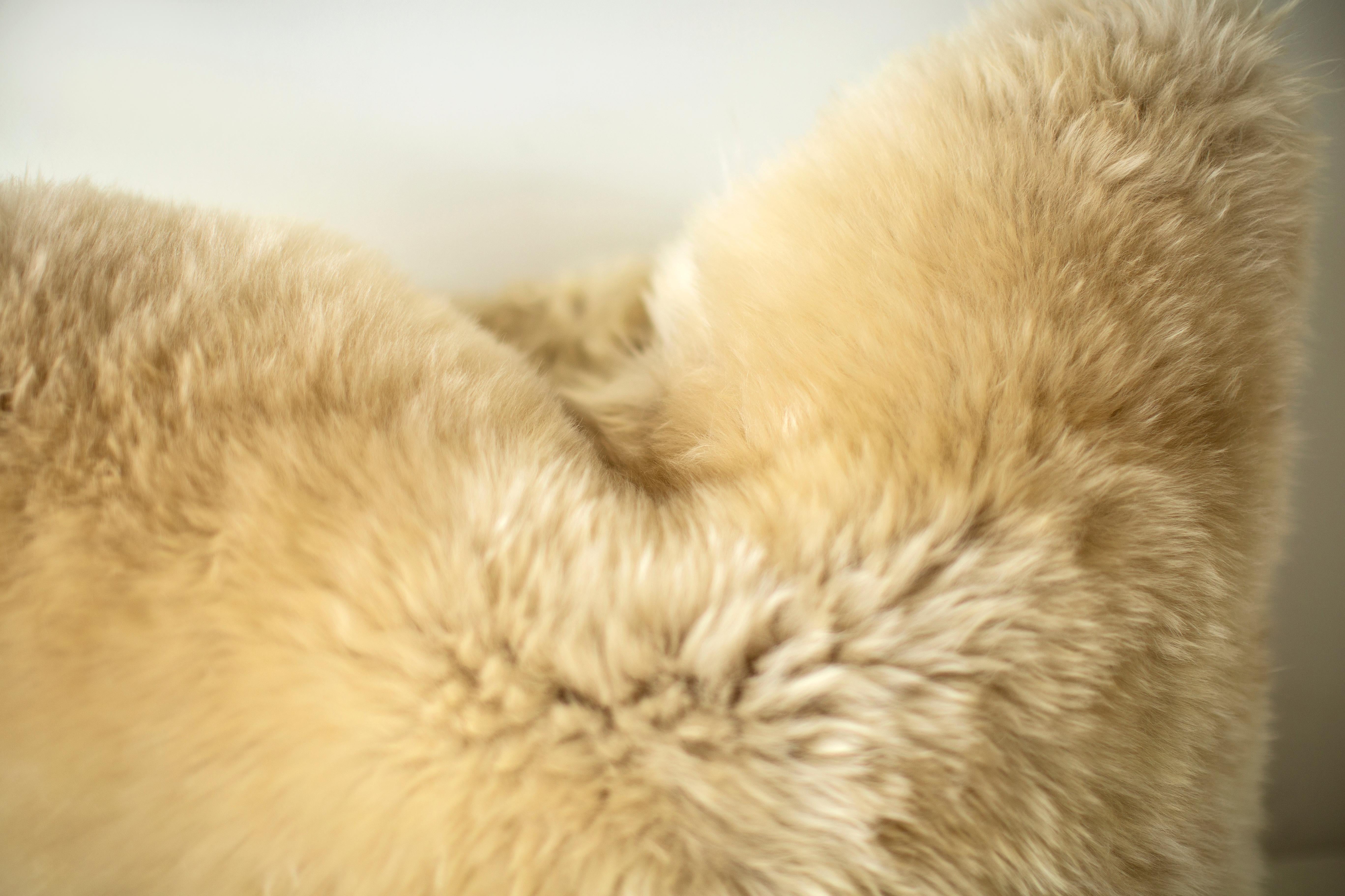 Esta almohada de peluche está hecha en el corazón de Ohio con mucho amor. Las almohadas son totalmente reversibles y de doble cara con relleno de plumón. La forma de la almohada de plumón en sí mide 30