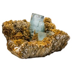 Beryll var. Aquamarin auf Muscovite aus Nagar, Hunza-Tal, Pakistan