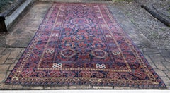 Beshir Long Runner, Dynamic and Collectible, Rare