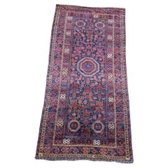 Beshir Long Runner, Dynamic and Collectible, Rare