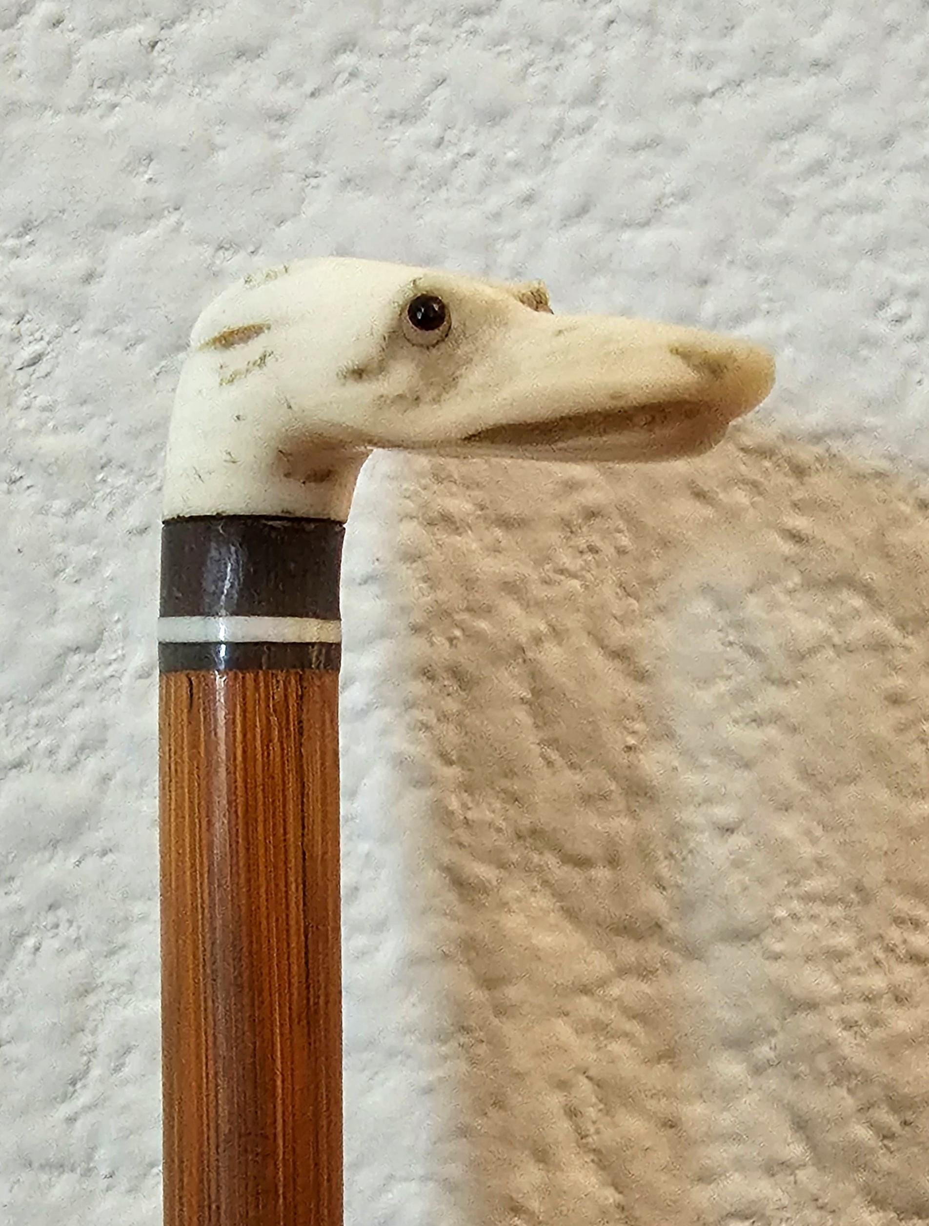 Lupa antigua victoriana tallada en marfil con cabeza de perro Objeto de Vertu en venta 9