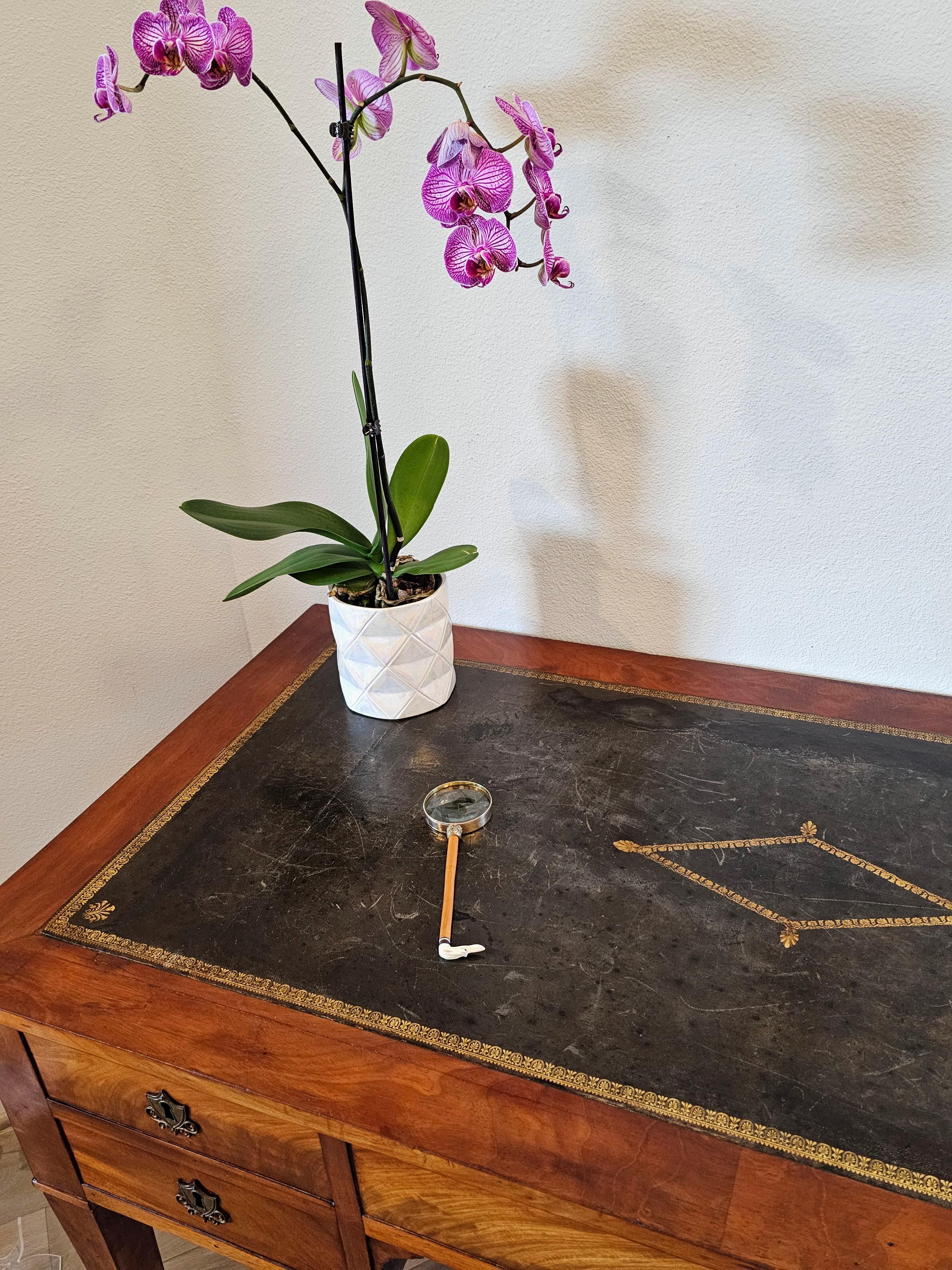 Lupa antigua victoriana tallada en marfil con cabeza de perro Objeto de Vertu en venta 1
