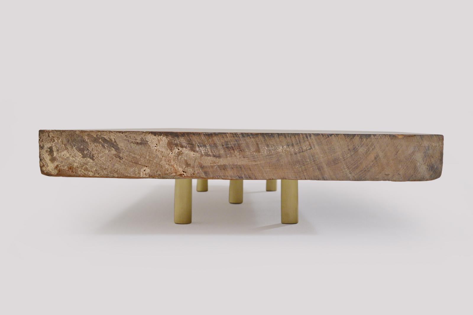 Bespoke Coffee Table, Slab of Antique Hardwood by P. Tendercool For Sale 1