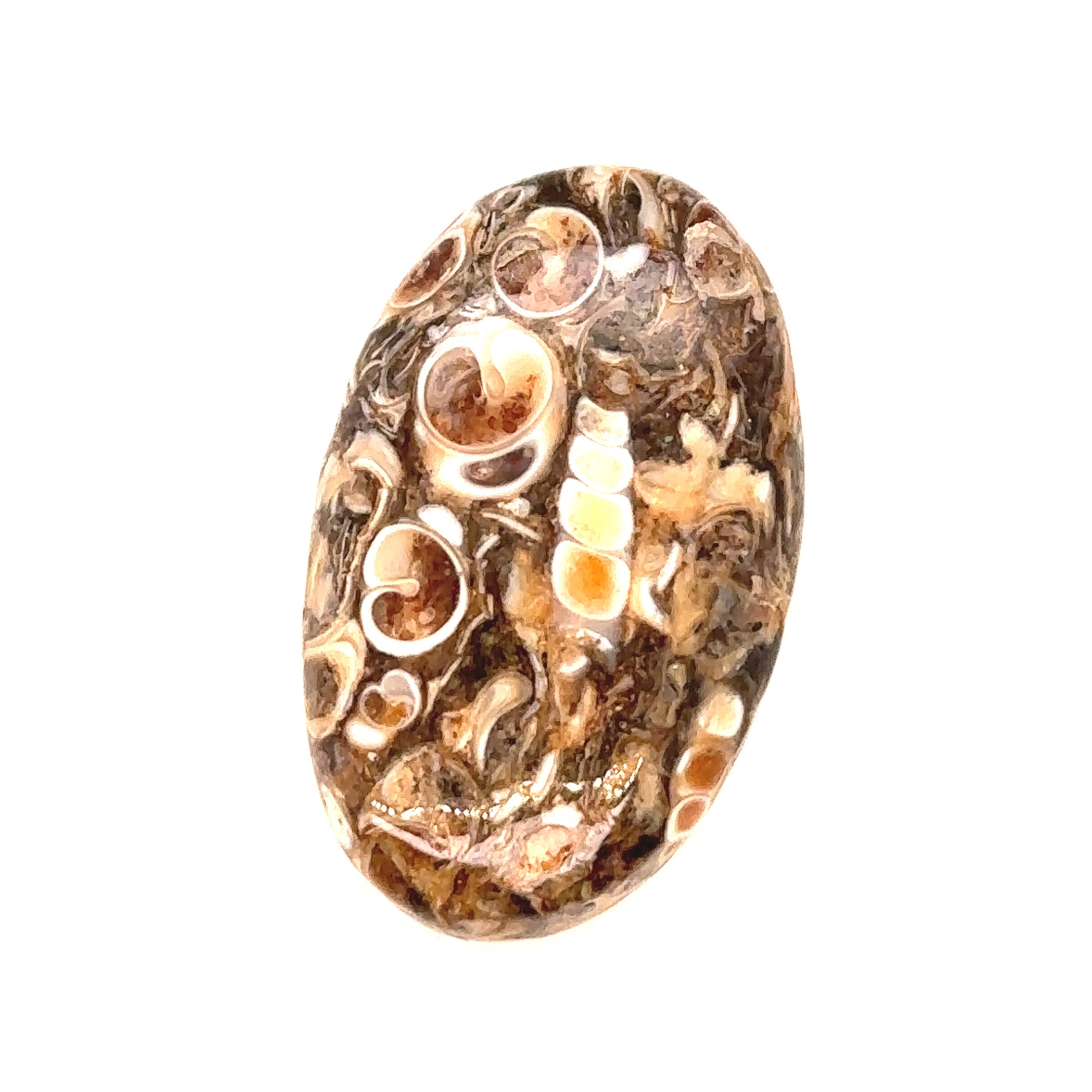 Ein loser australischer Opal im Cabochon-Schliff, Reinheit VI1, graue Farbe, Gewicht 17,71ct.

Metall: N/A
Karat: 17,71ct
Farbe: Grau
Klarheit: VI1
Schliff: Ovaler Cabochon-Schliff
Gewicht: N/A
Gravuren/Markierungen: N/A

Größe/Maße: N/A

Aktueller