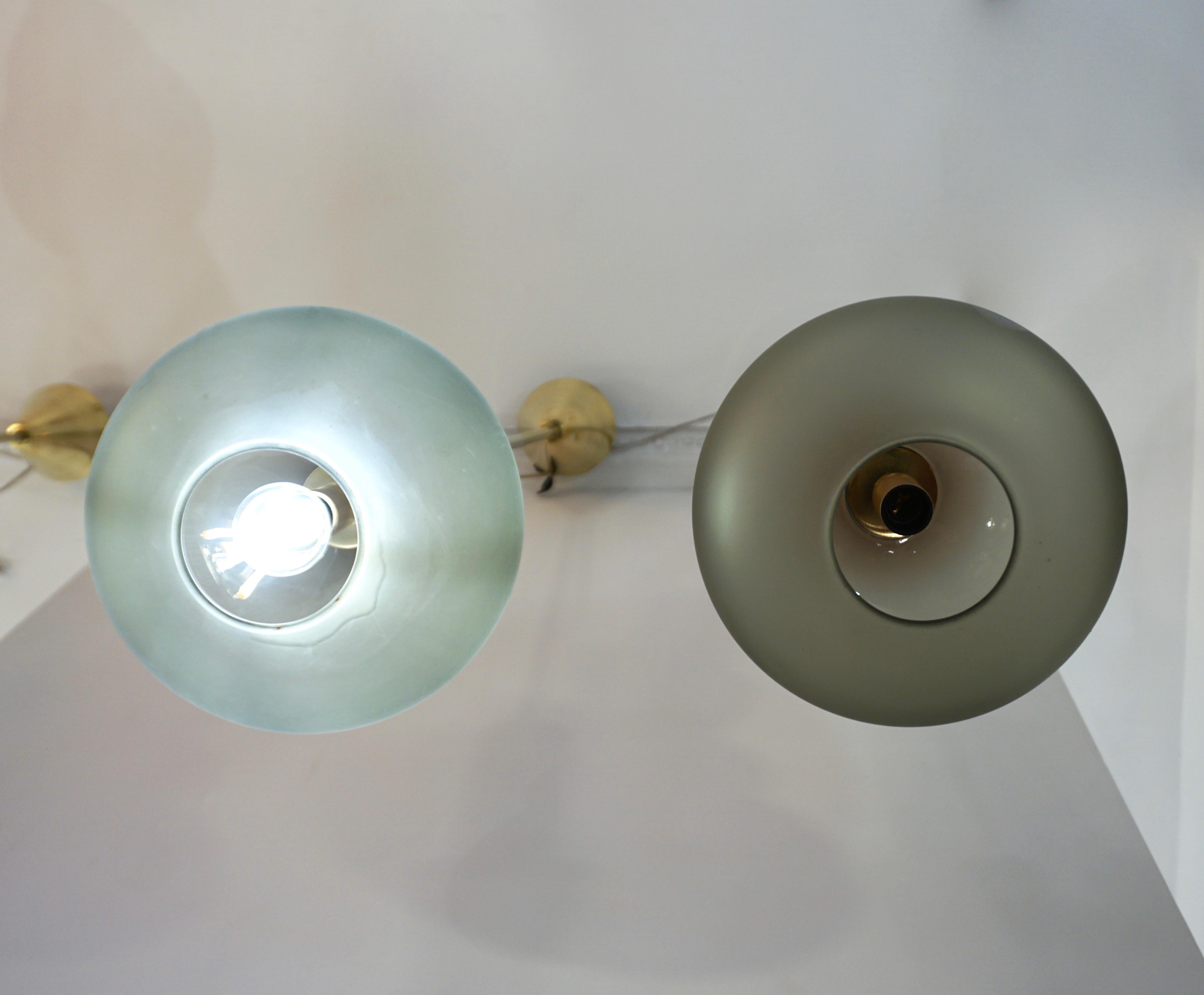 Bespoke Organic Amethyst Gray Green Murano Glass Brass Pendant Light 2