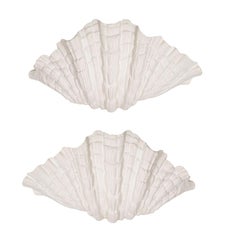 Coppia di appliques in gesso Coquillage su misura
