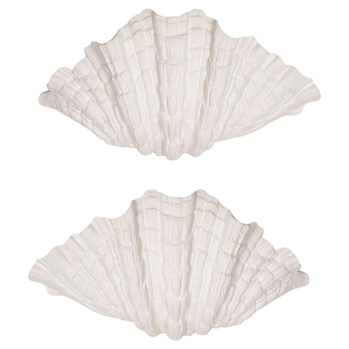 Bespoke Pair of Coquillage Plaster Sconces