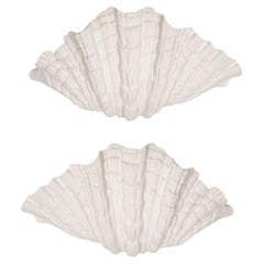 Pareja de Apliques de Yeso Coquillage a Medida