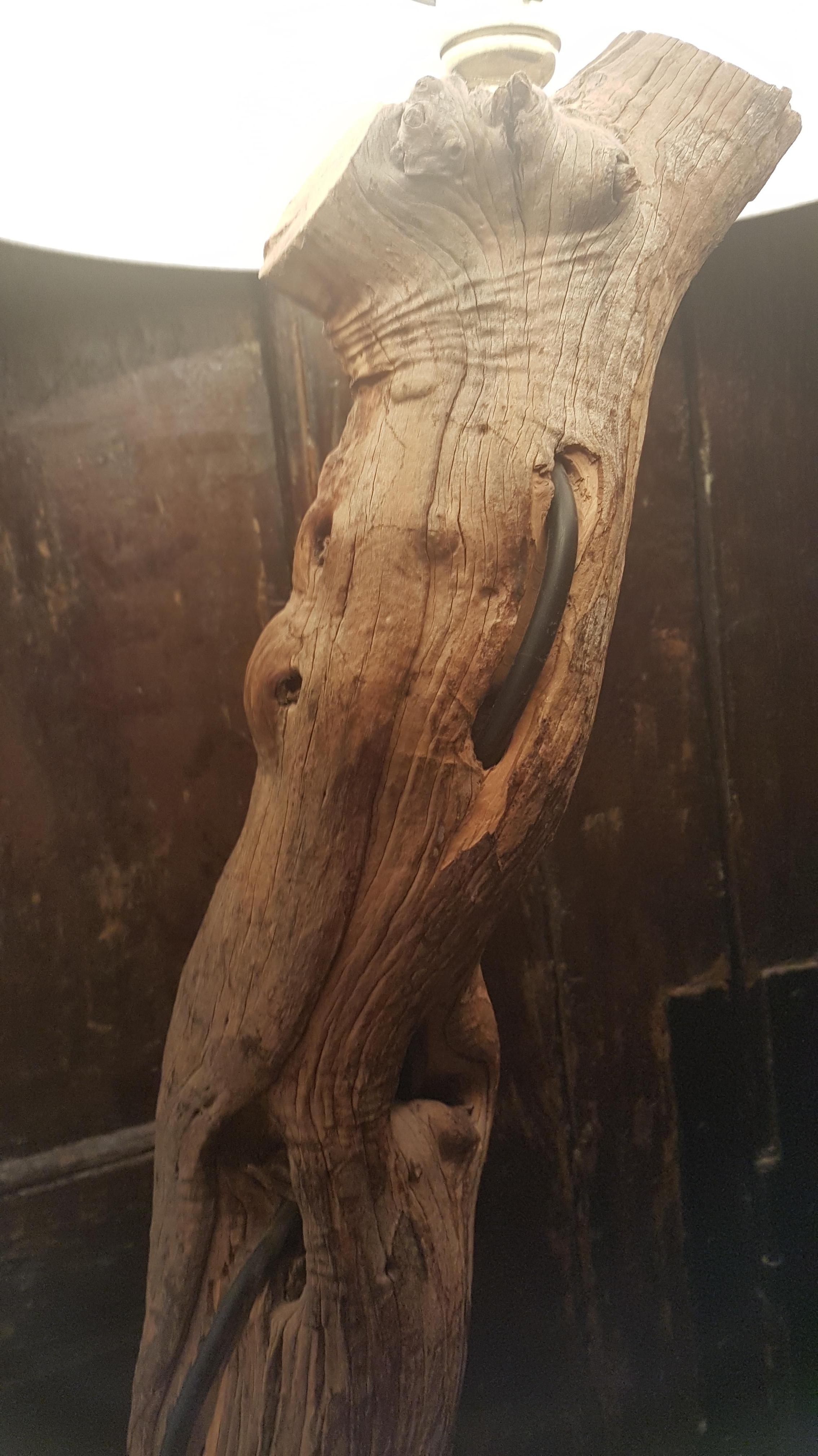 Bespoke Tree Form Sandalwood Floor Lamp For Sale 3