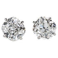 Platinum Stud Earrings