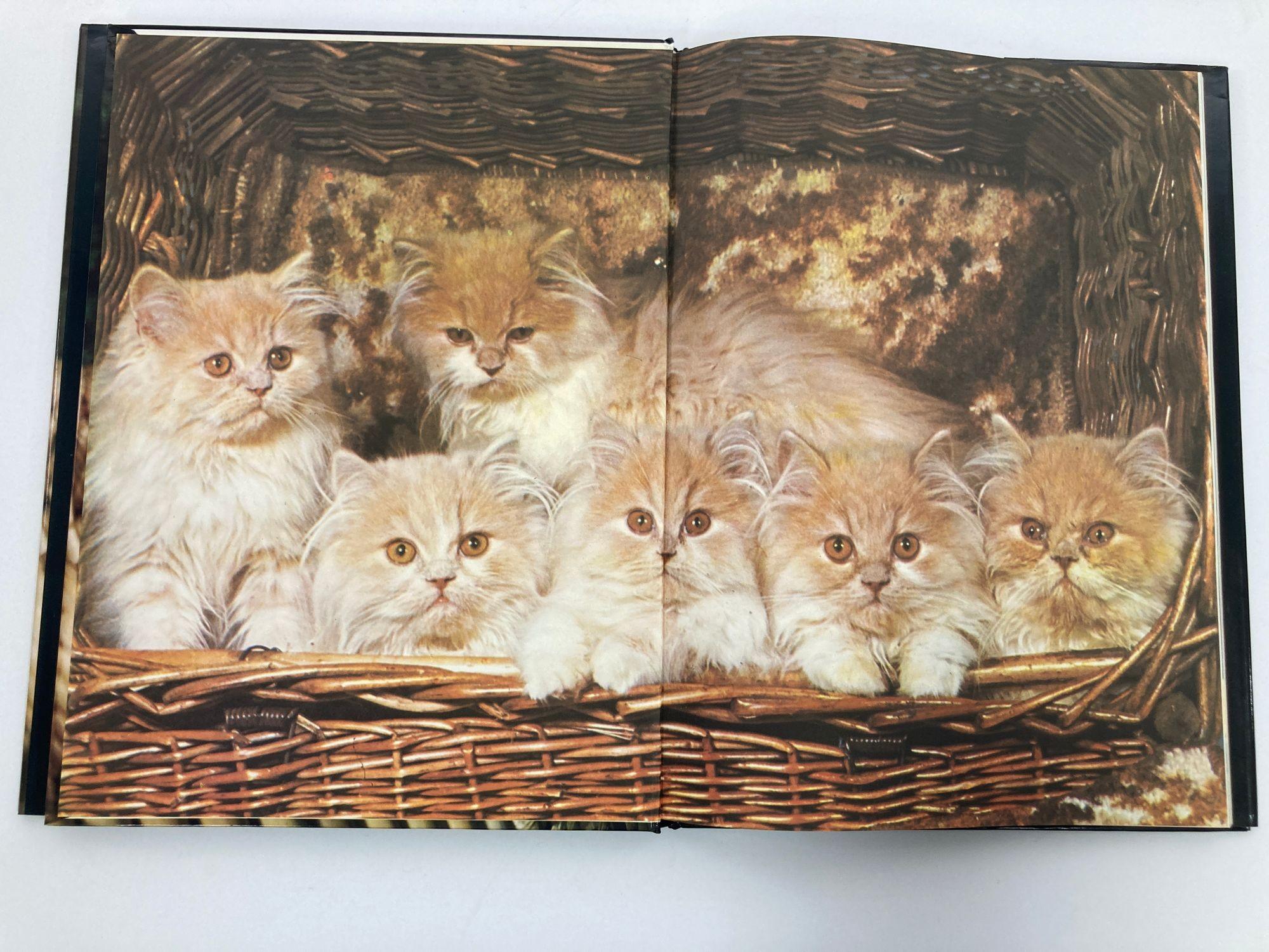 Paper Best Loved Cats of the World Hardcover Book by Peter McHoy For Sale