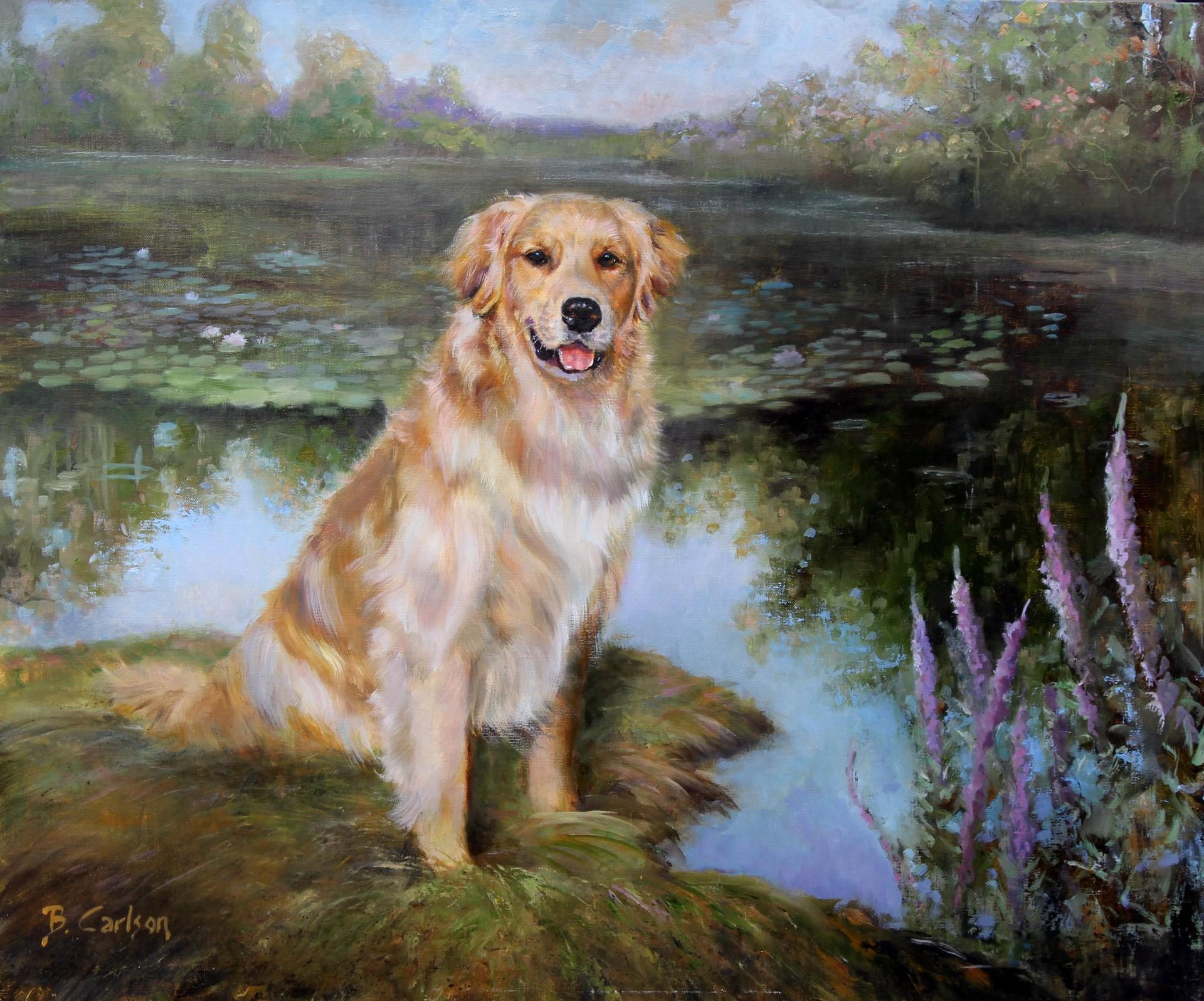Beth Carlson Animal Painting - Dog Painting of a Beautifully Feathered Golden Retriever a in Country Landscape