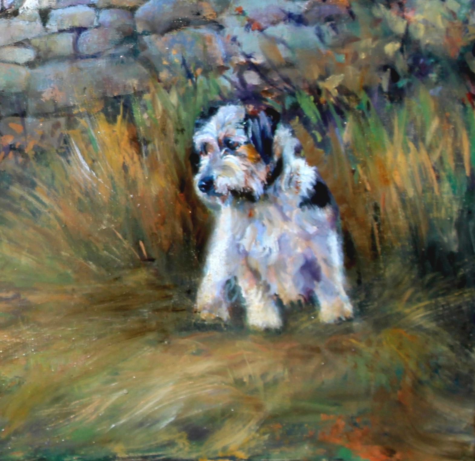 jack russell terrier hunting