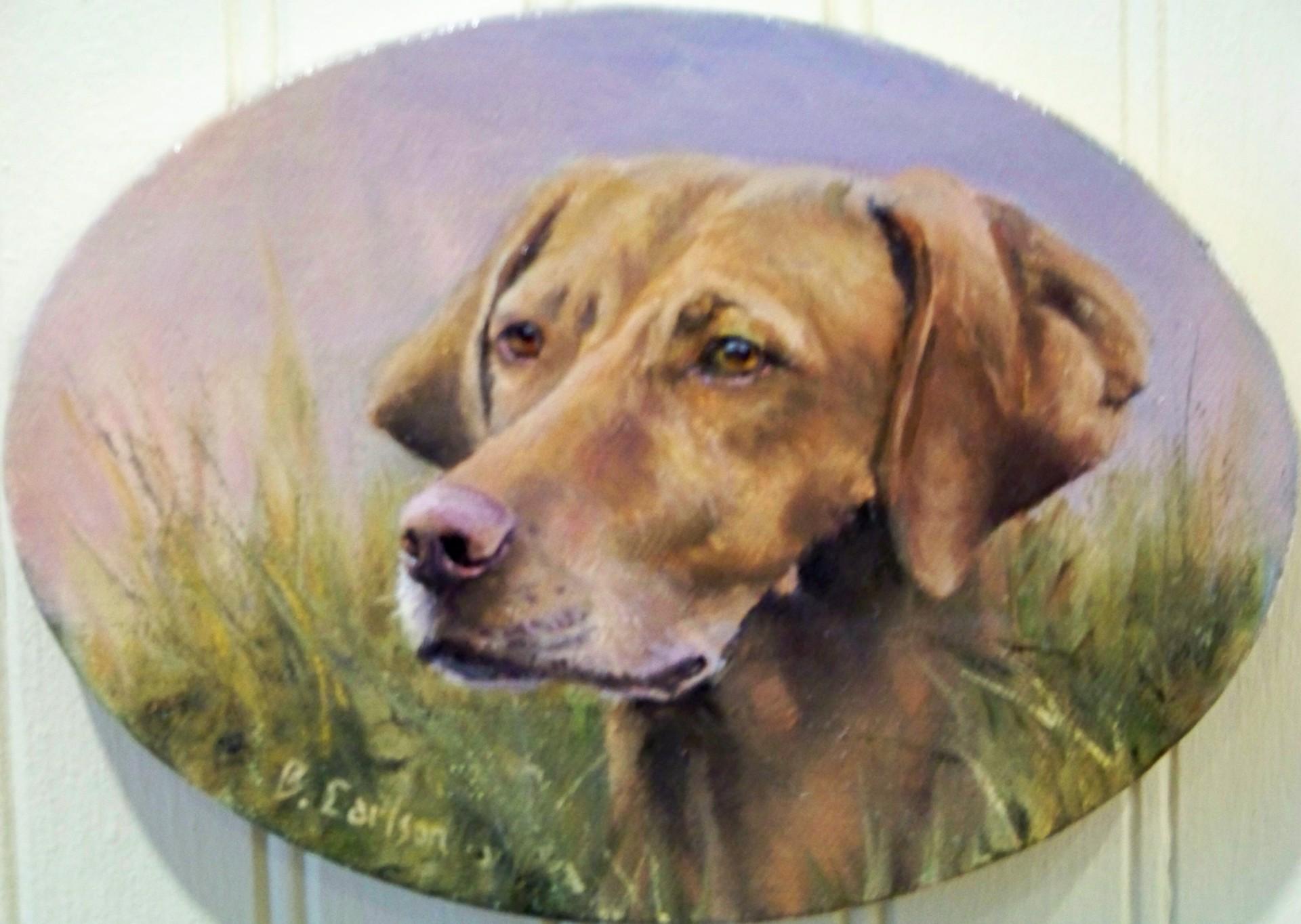 Beth Carlson Portrait Painting - Small and Charming Oval Oil of a Handsome Vizsla in Gold Frame 