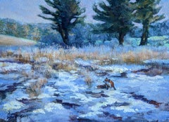 Thawing Landscape Juxtaposes Cool Blues and the Sun's Warm Yellows Creating Hope