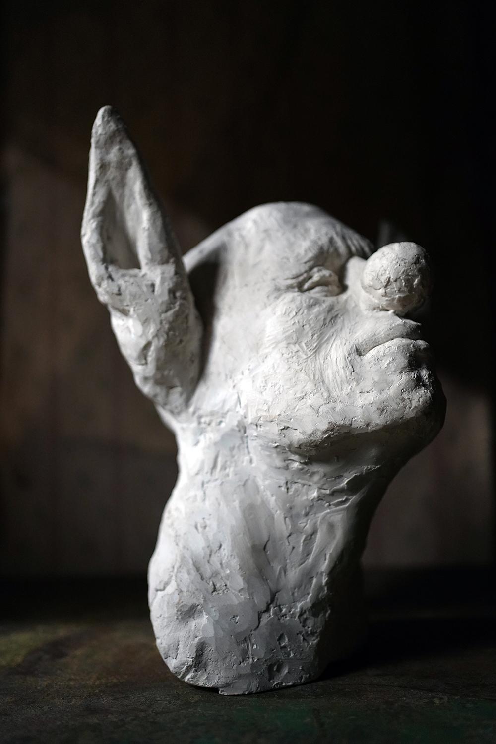 Beth Carter, Clown Head with Donkey Ears, Jesmonite, 2014, Unique 8