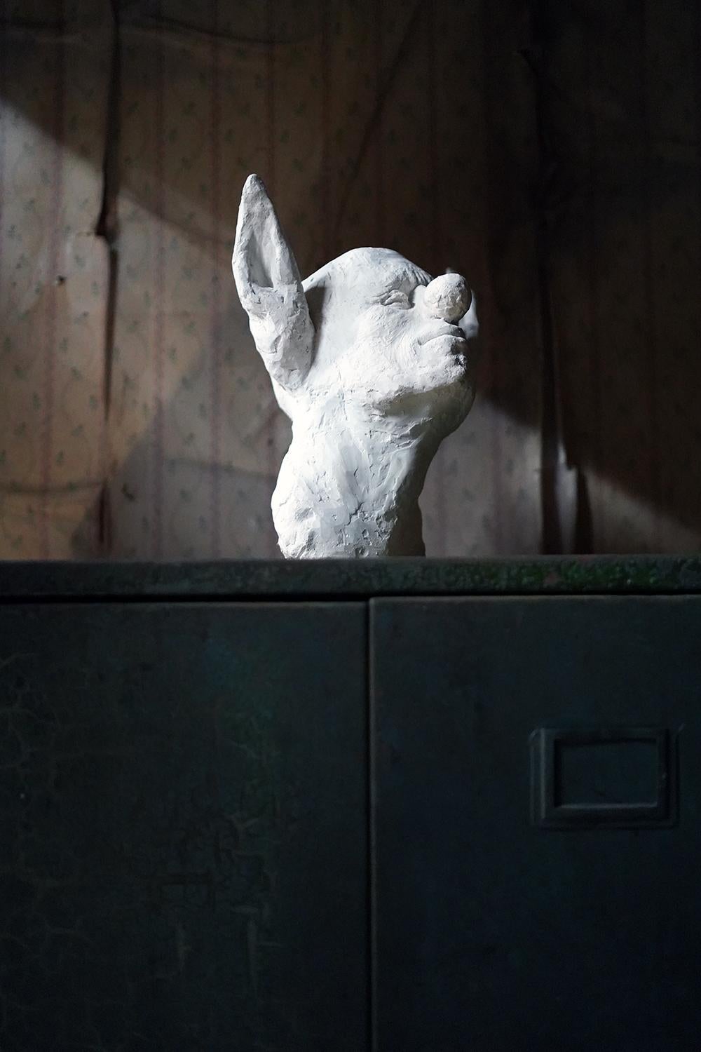 Beth Carter, Clown Head with Donkey Ears, Jesmonite, 2014, Unique 10