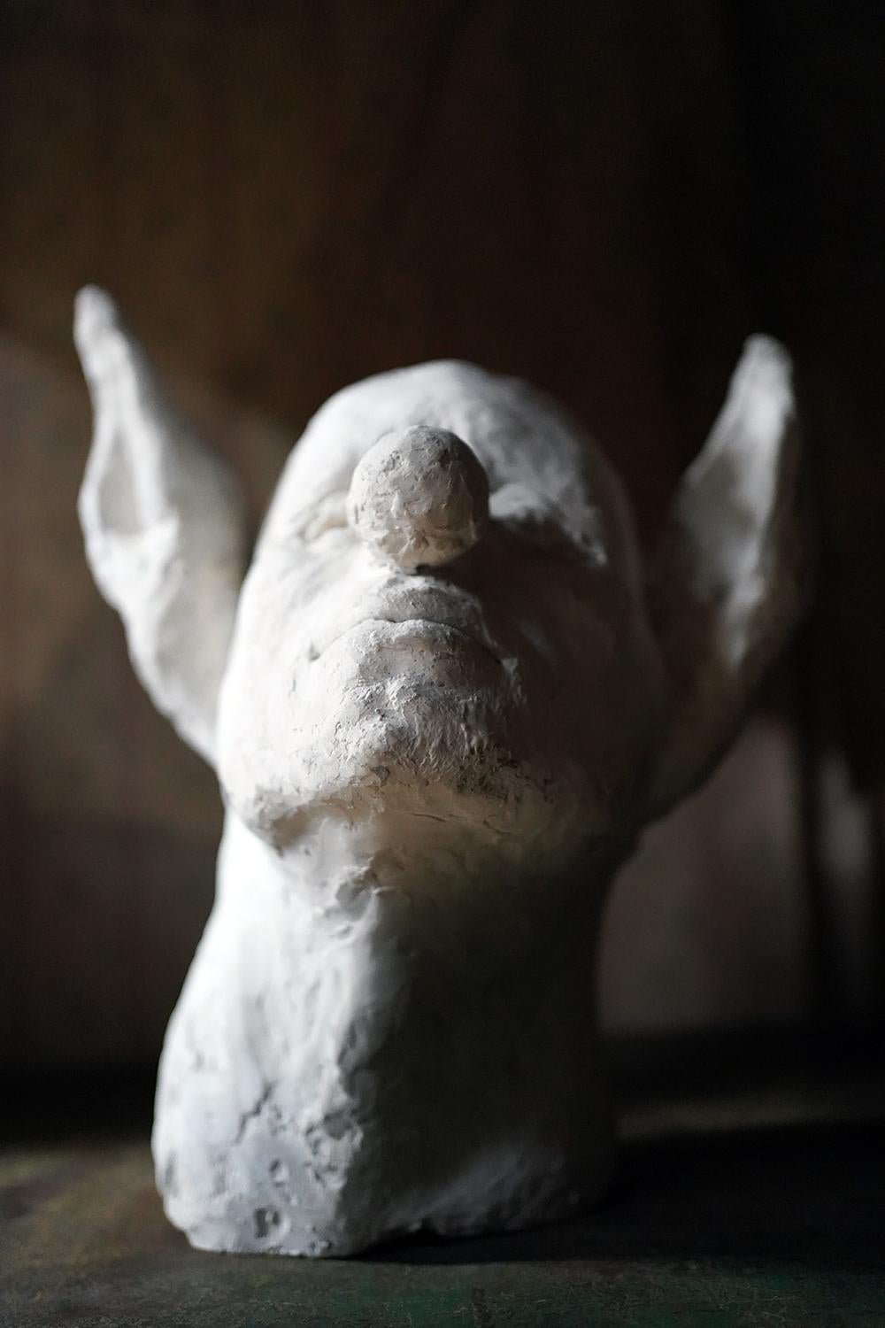 English Beth Carter, Clown Head with Donkey Ears, Jesmonite, 2014, Unique
