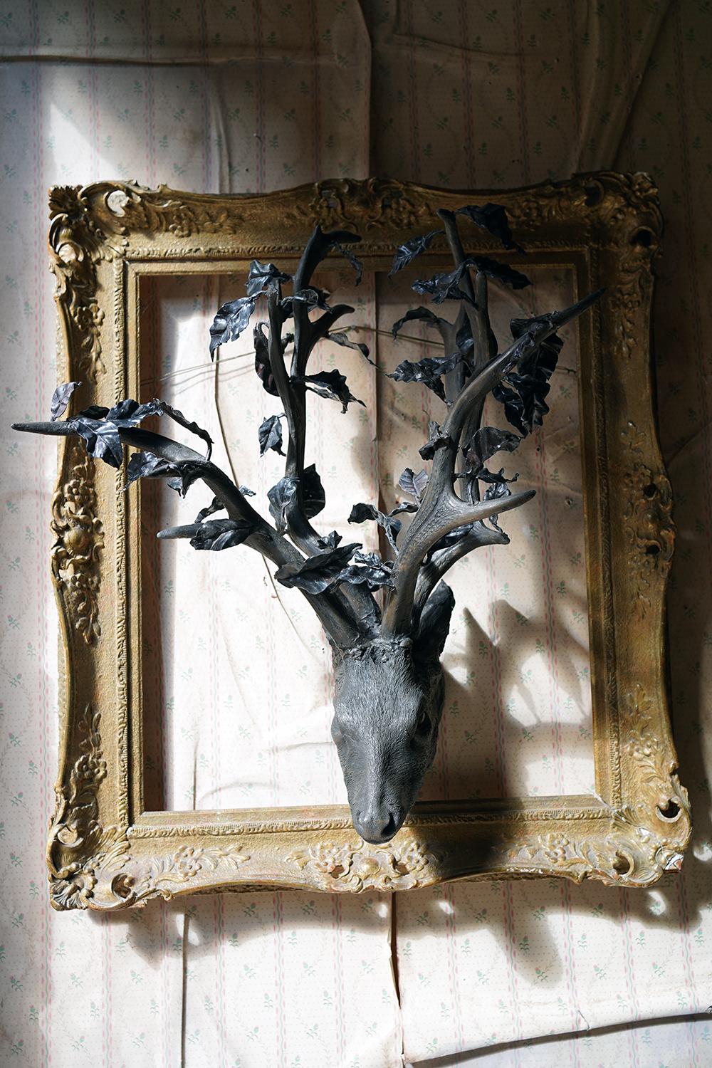 Beth Carter, Deer Head, Bronze Resin & Lead, 2011, Unique For Sale 12