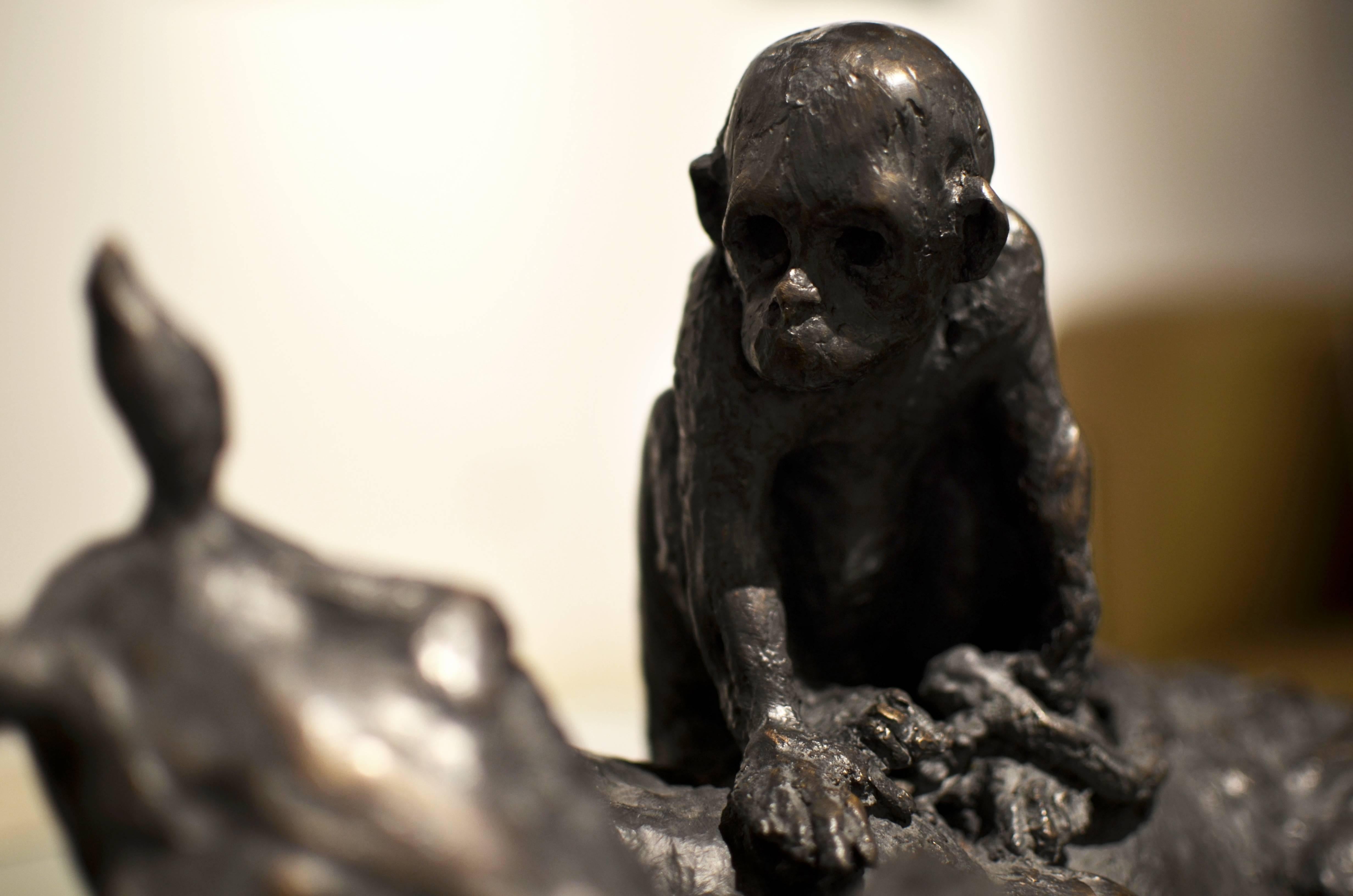 Monkey and Horse, bronze sculpture For Sale 1