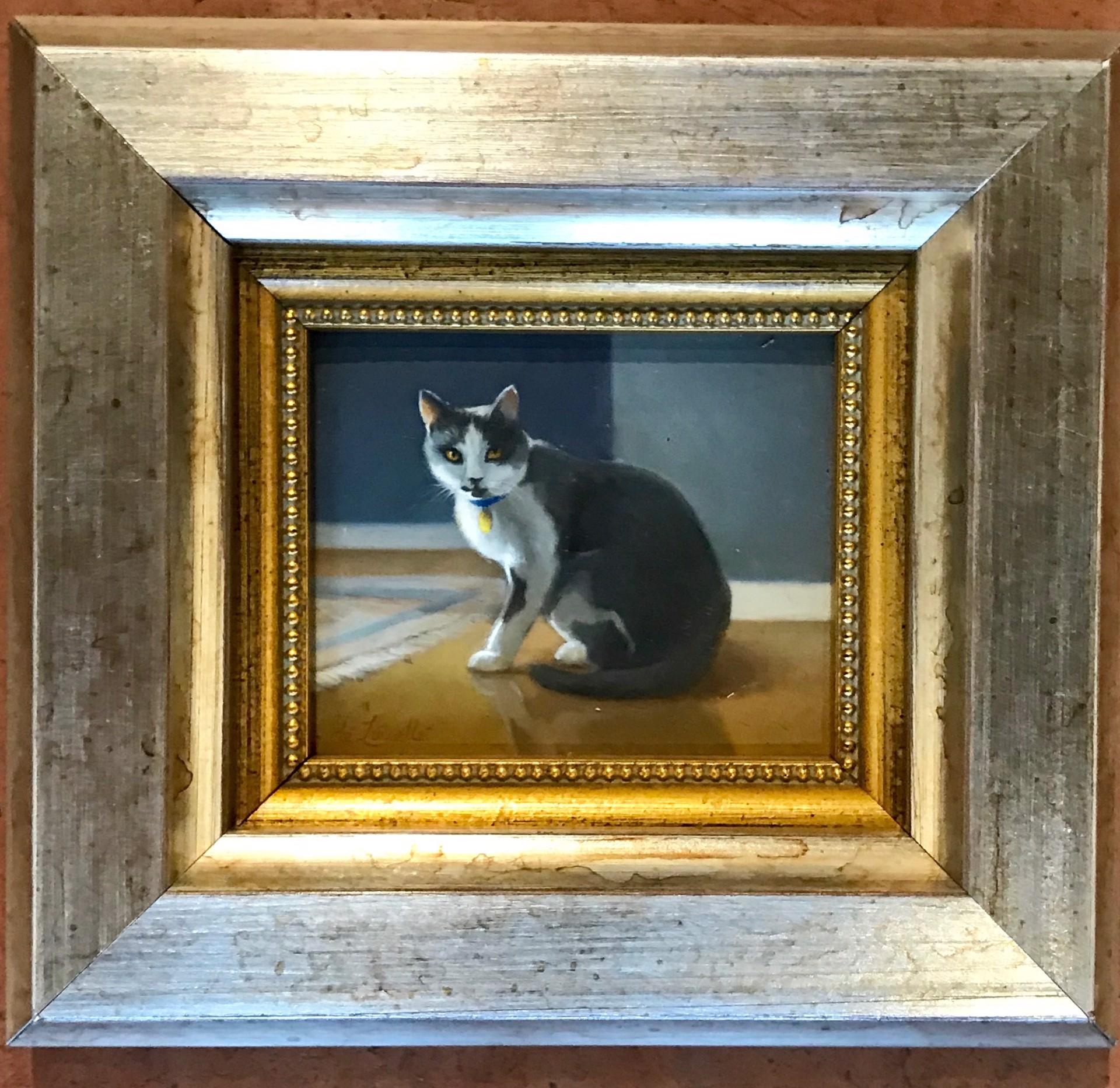 Beth de Loiselle Animal Painting - Dramatic 2 1/2" x 3" oil cat miniature accented with  light and attractive frame