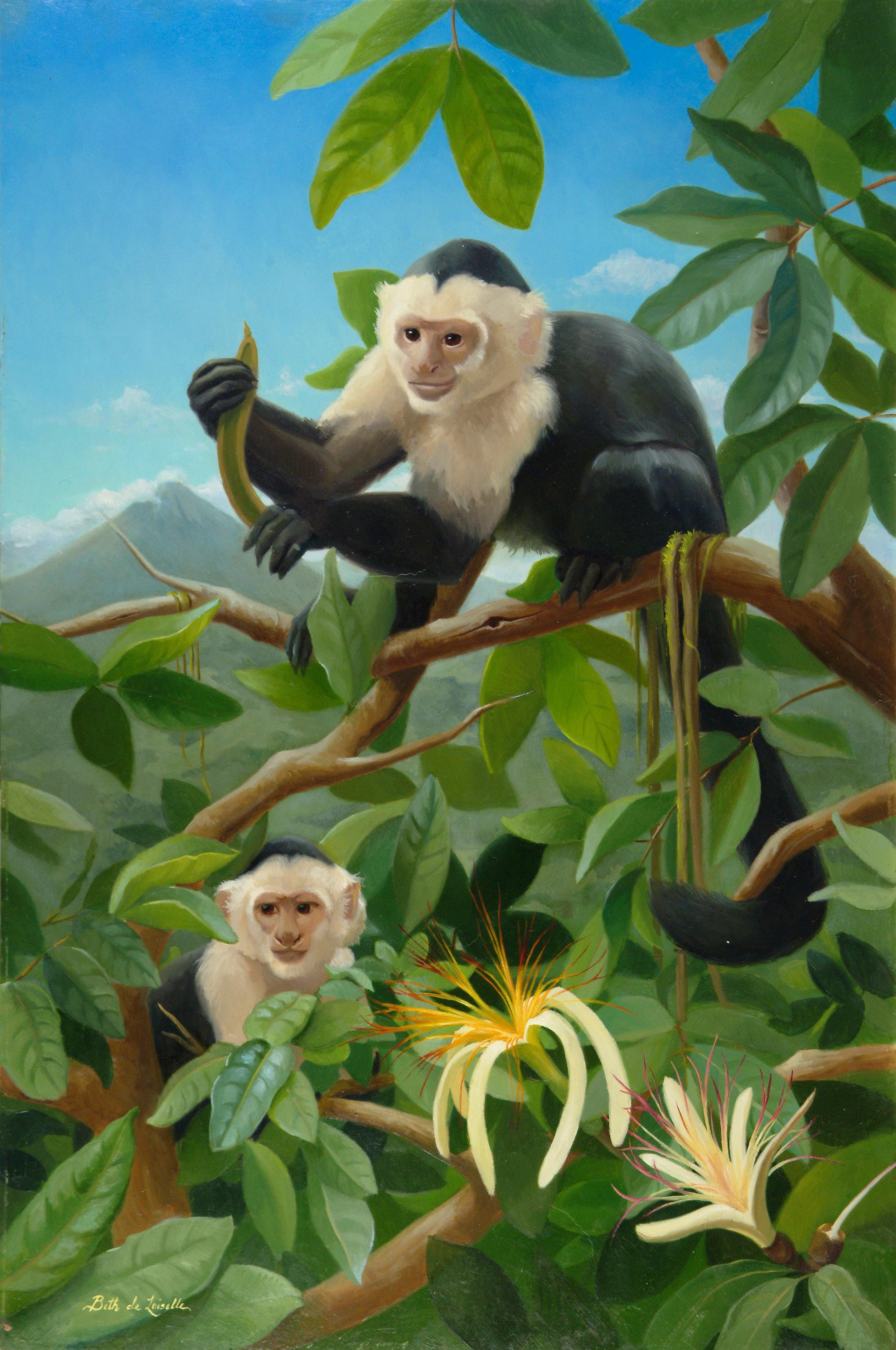 Beth de Loiselle Animal Painting - White Face Monkeys
