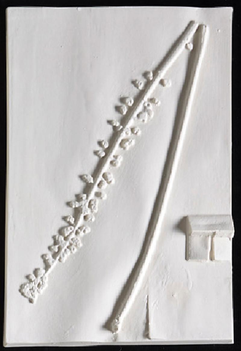 Beth Lipman Still-Life Sculpture - WILD MADDER SPECIMEN SHEET (PLANTAGO CORDATA)