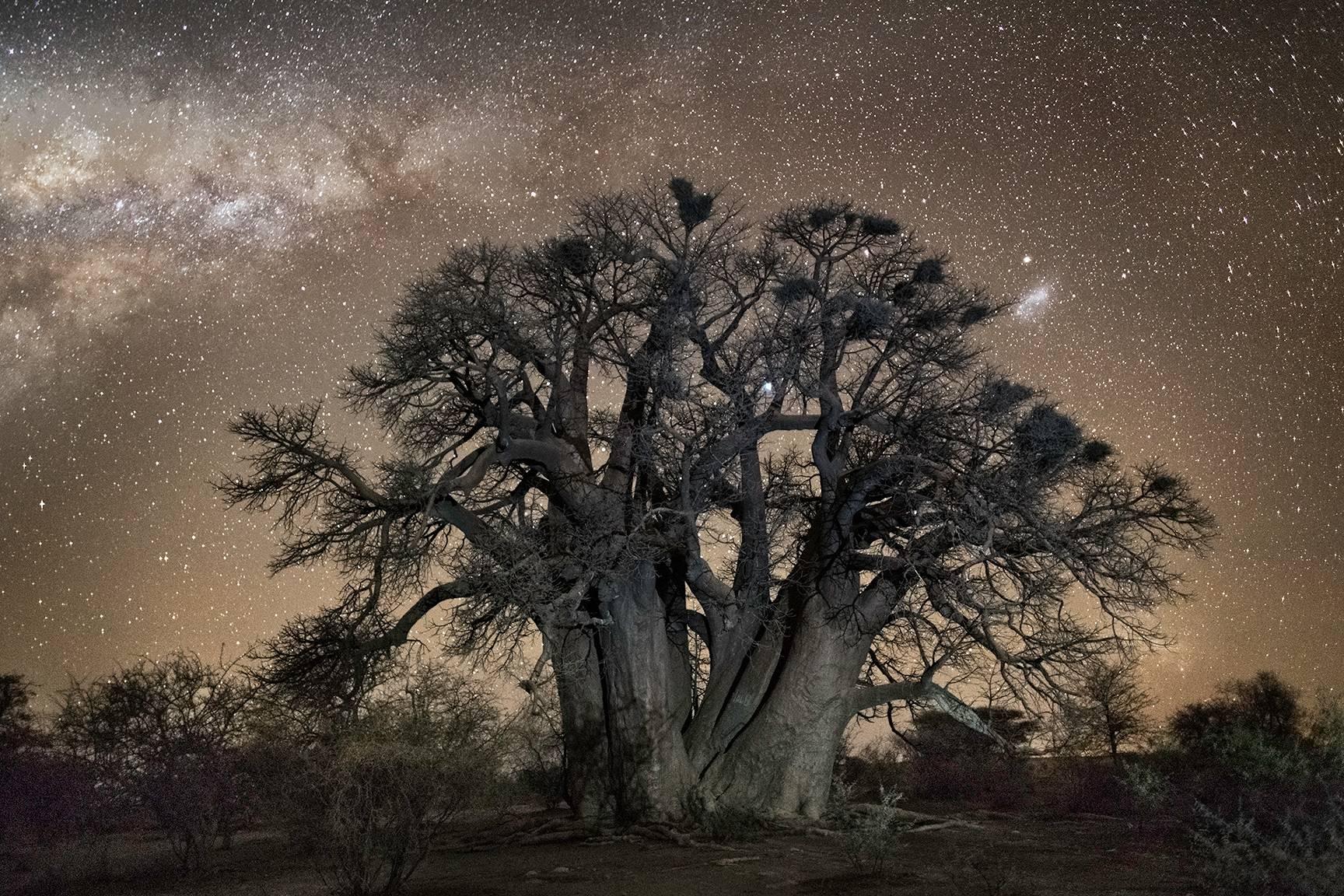 Beth Moon Landscape Photograph - Aludra