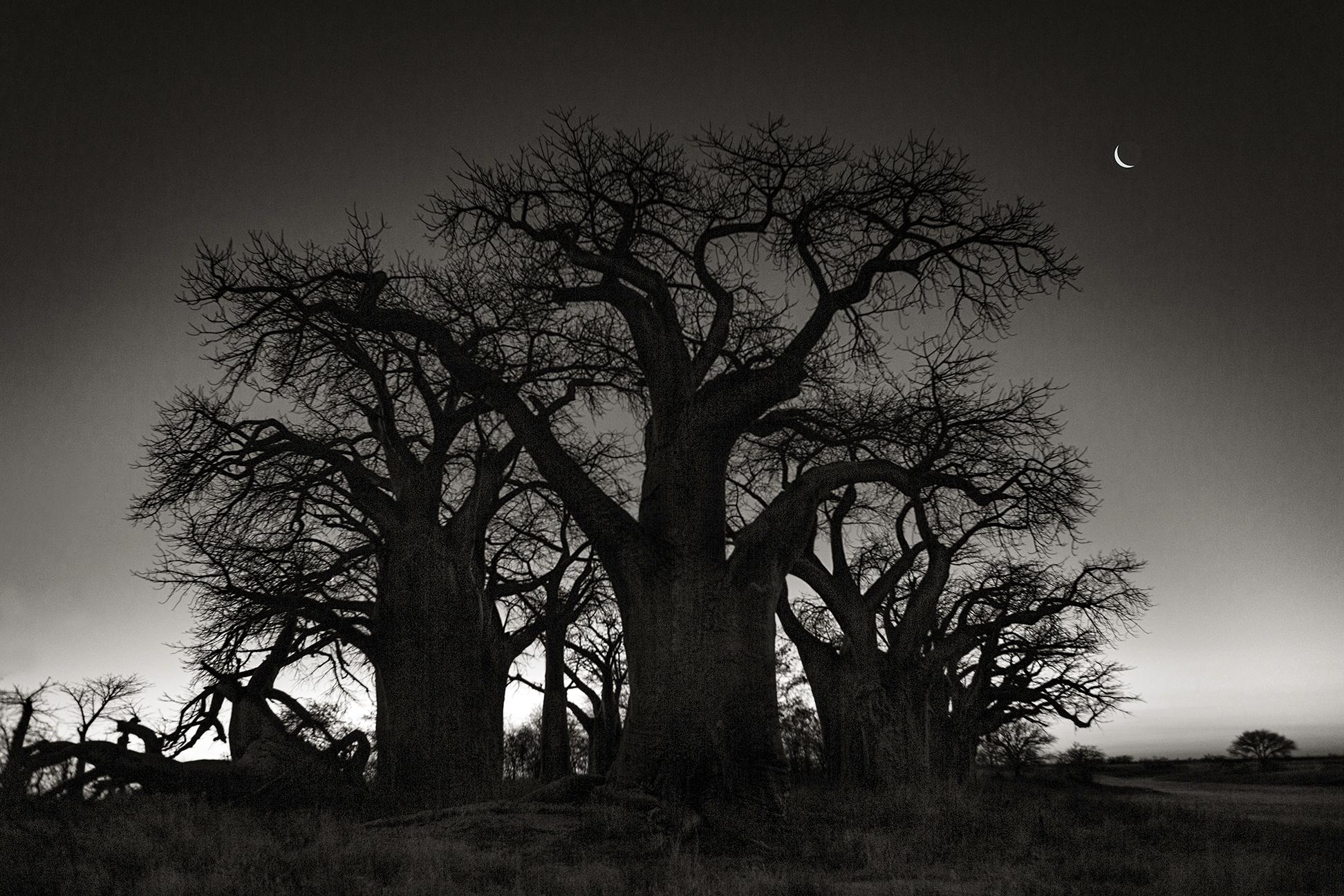 Beth Moon Black and White Photograph - Baines Circle of Seven, Botswana