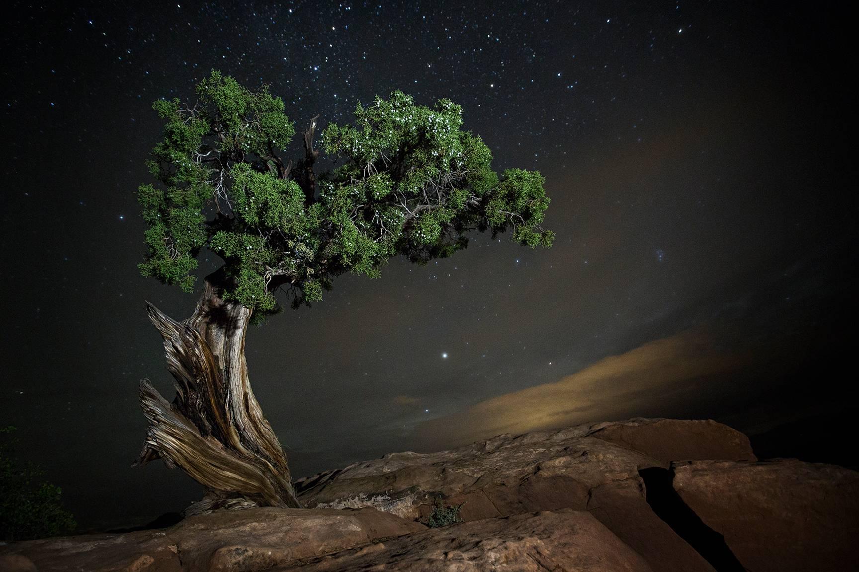 Beth Moon Landscape Photograph - Delphinius