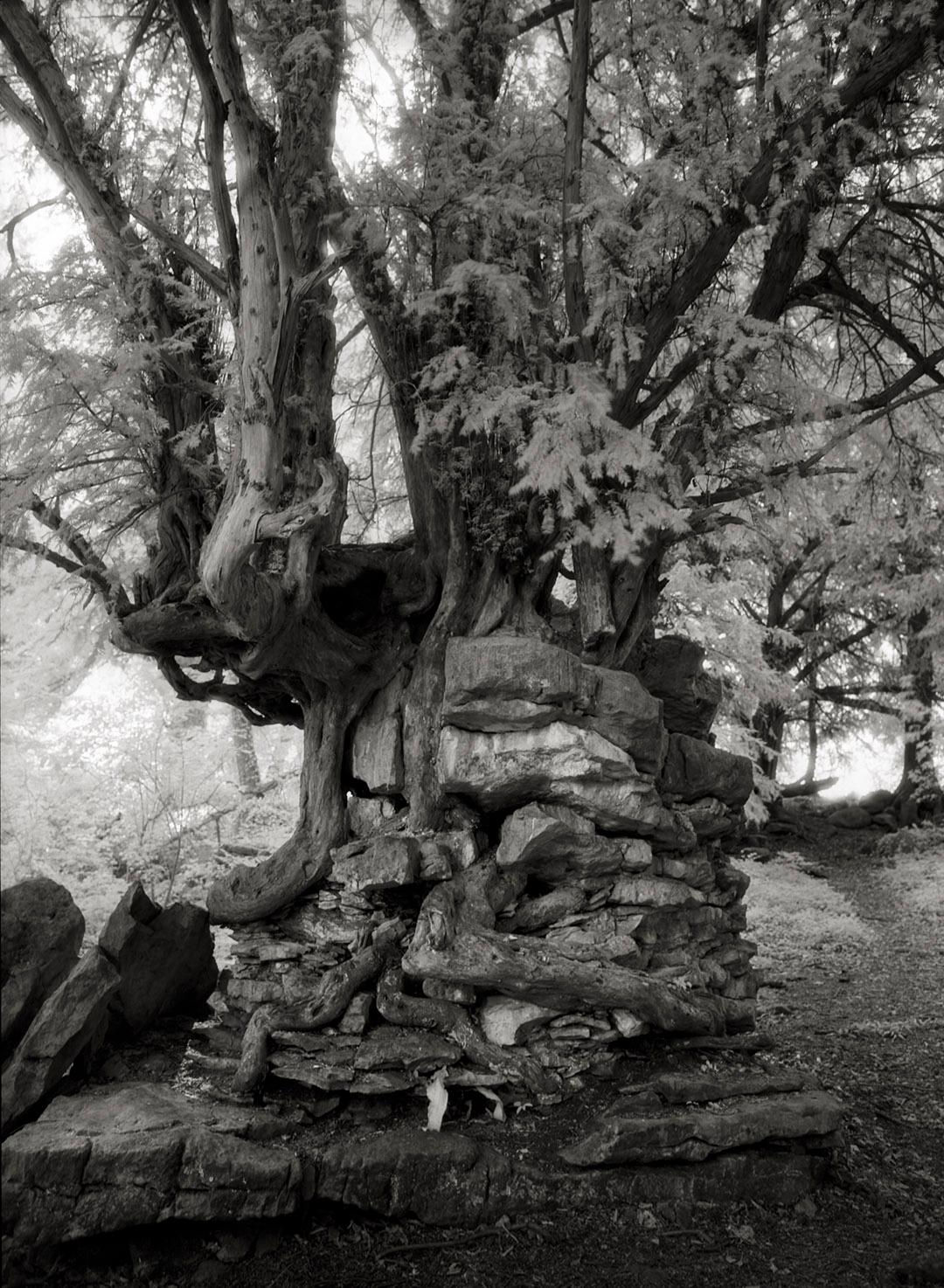 Beth Moon Black and White Photograph - Devil's Pulpit