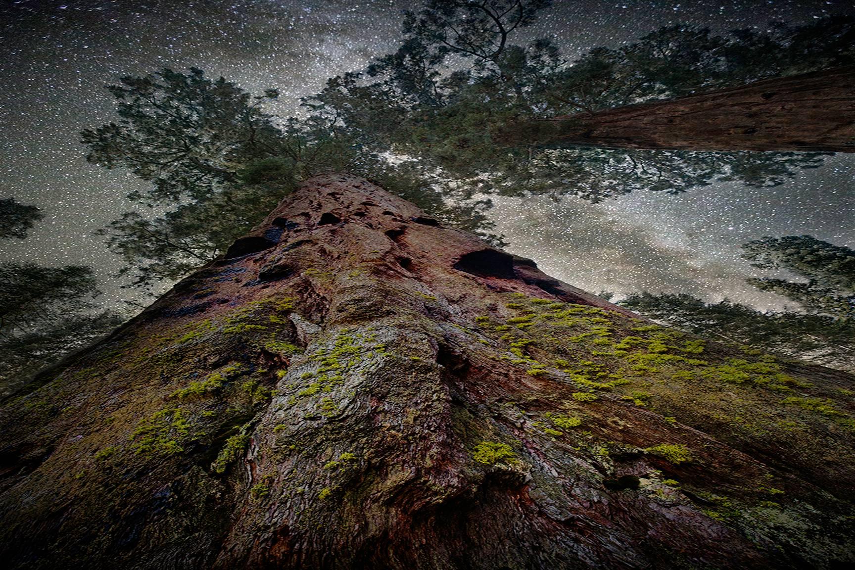 Beth Moon Color Photograph – Elnath