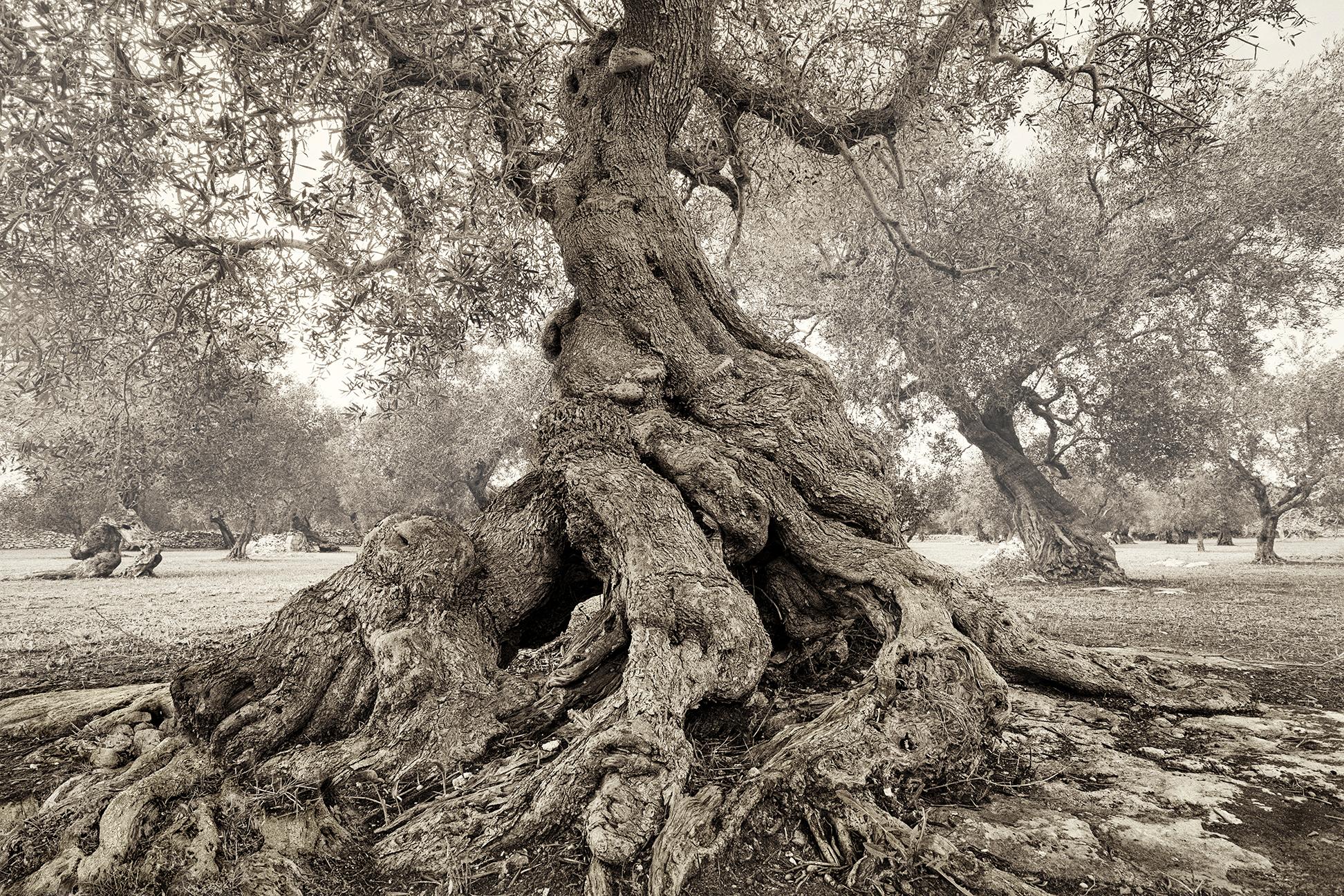 Lecce I - Photograph by Beth Moon