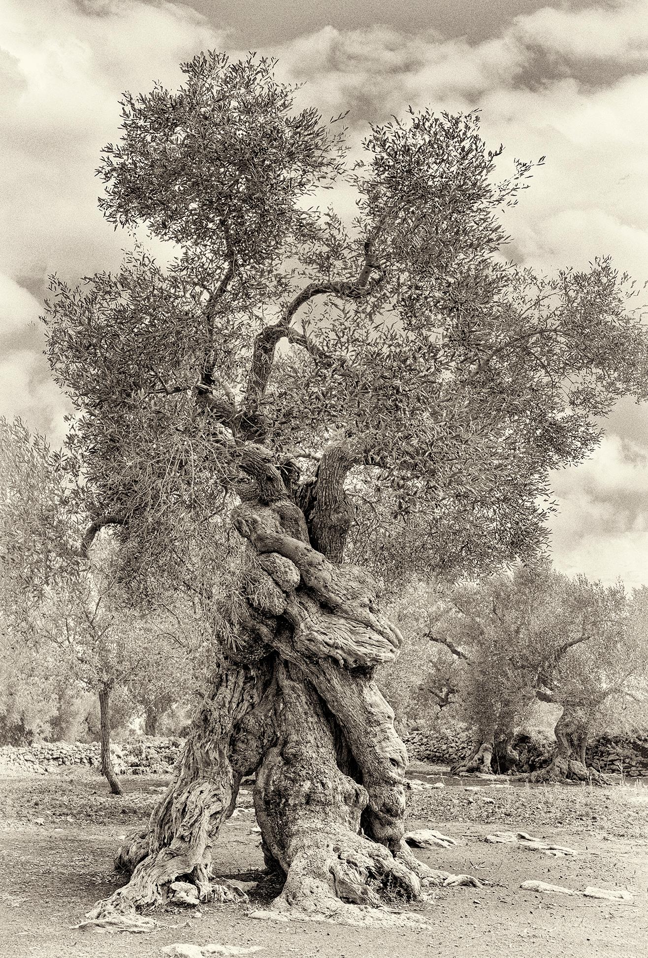 Lecce II - Photograph by Beth Moon