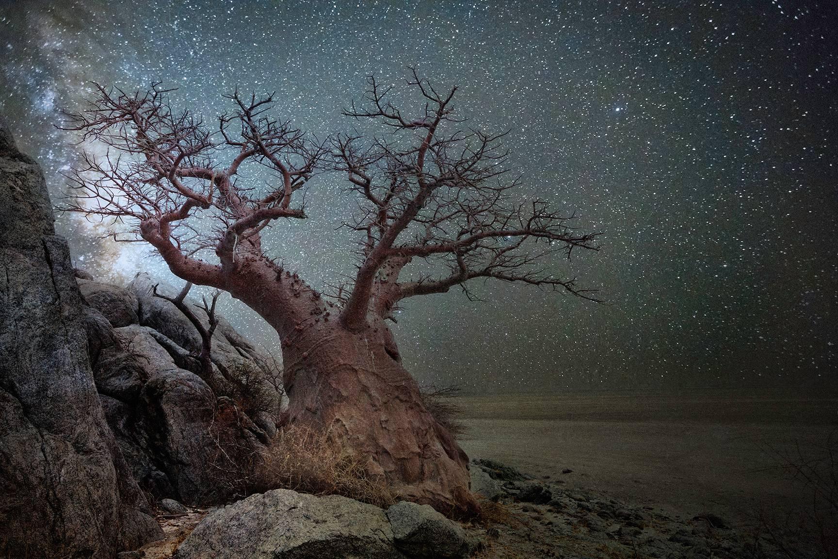 Beth Moon Landscape Photograph - Lyra