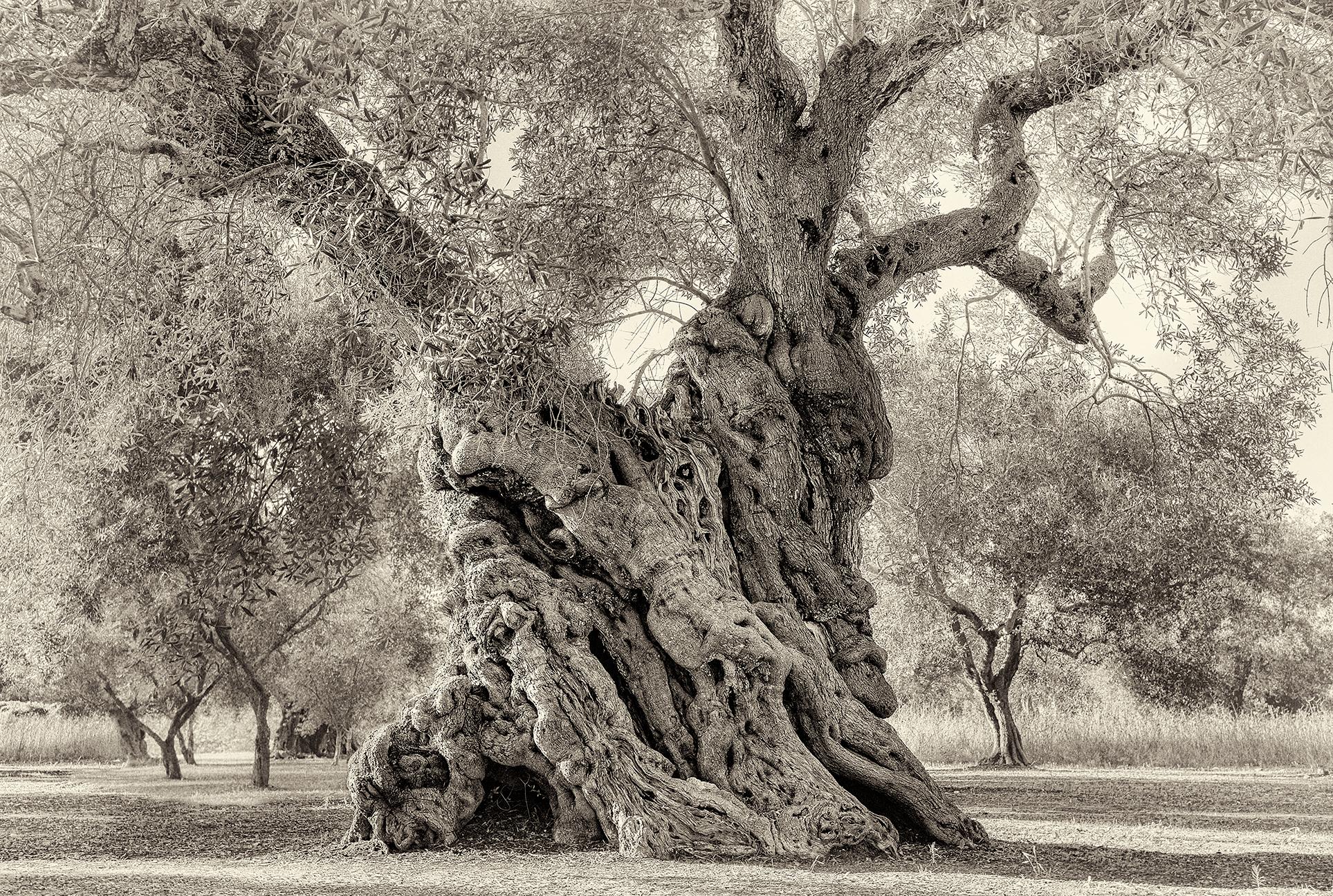 Nardo I - Photograph by Beth Moon