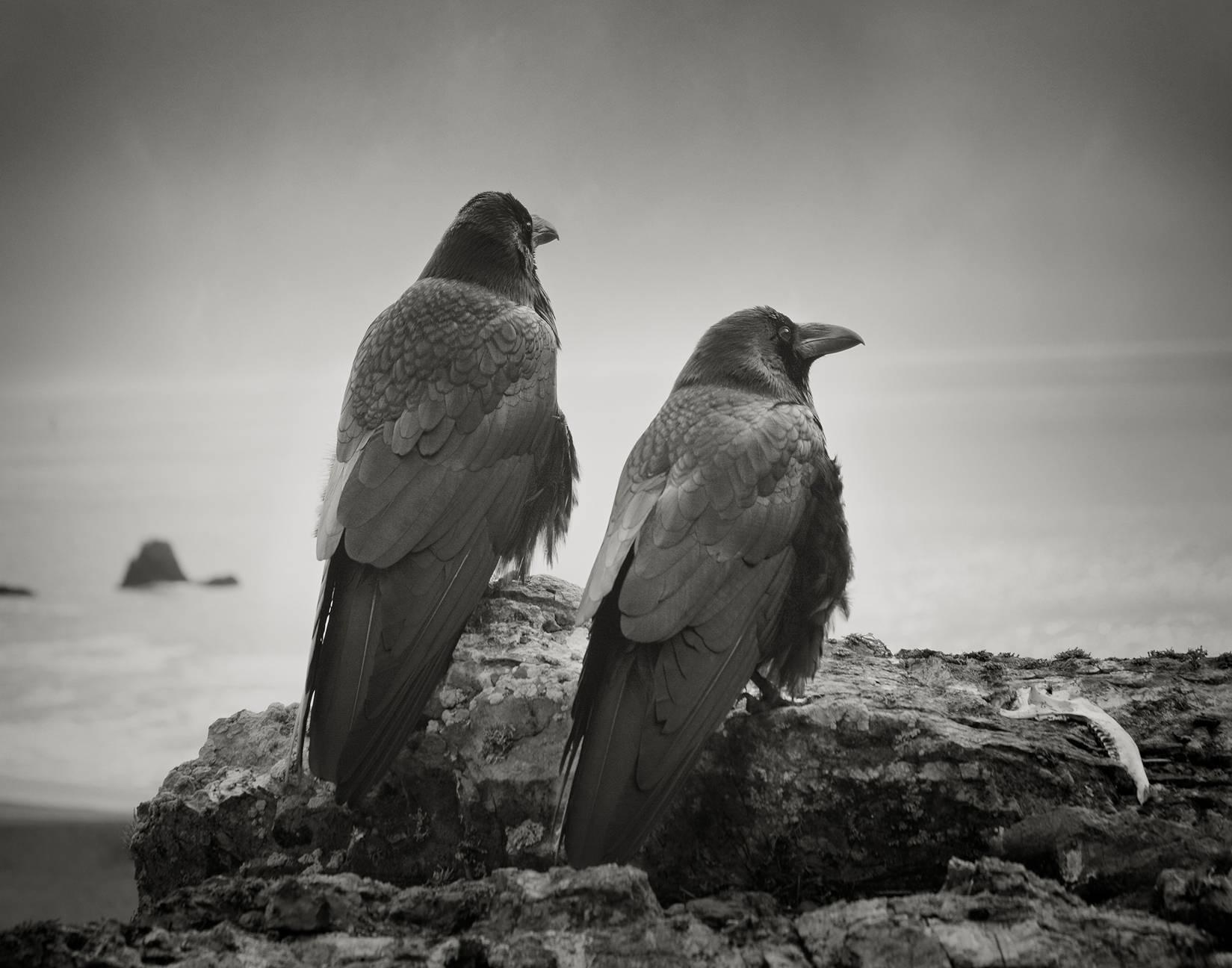 Beth Moon Black and White Photograph - Odin's Cove #1