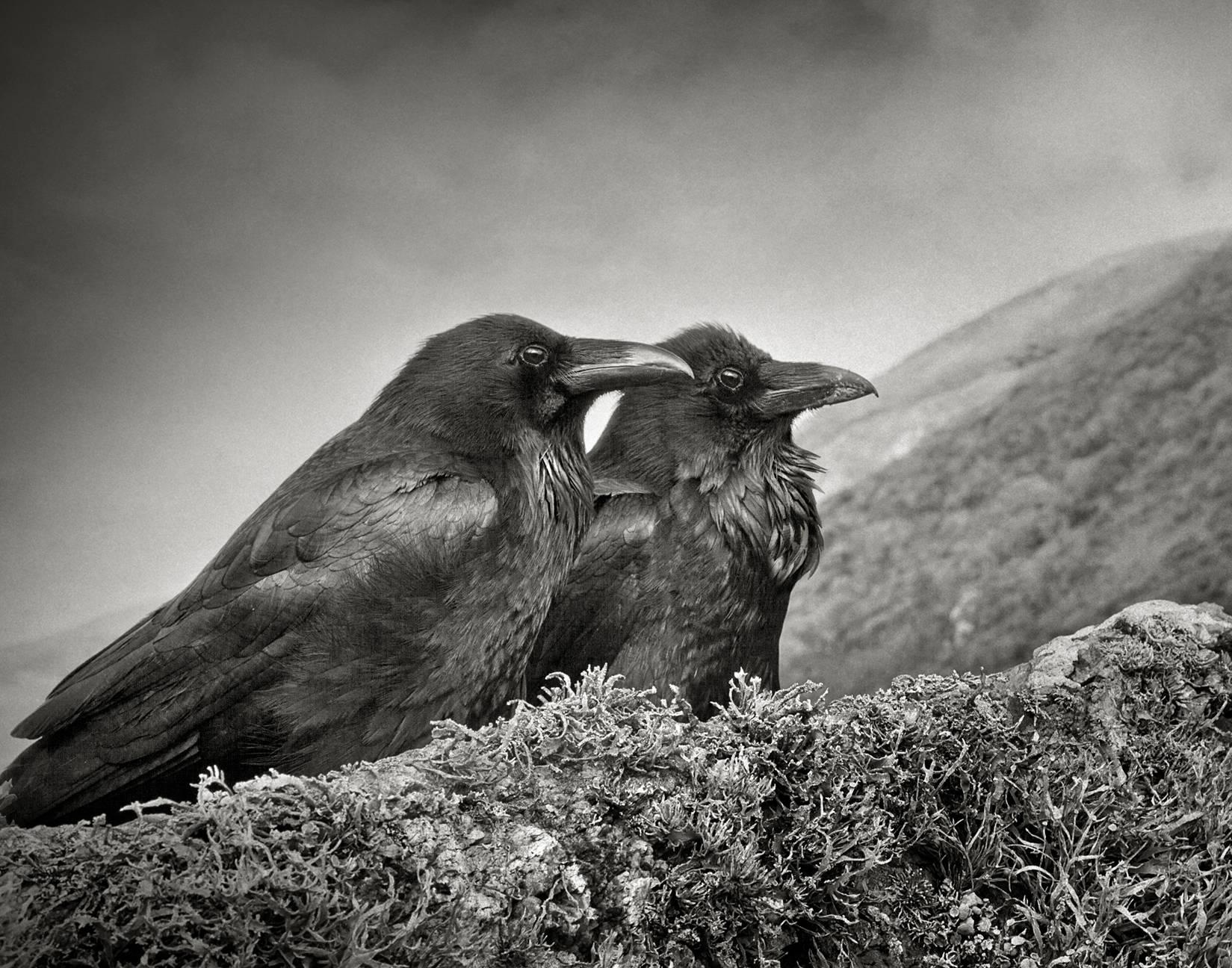 Beth Moon Black and White Photograph - Odin's Cove #30