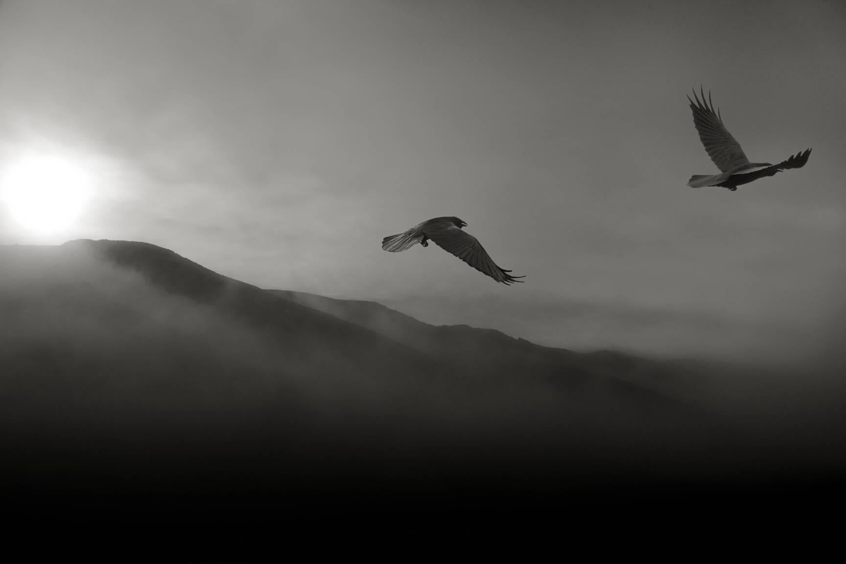 Beth Moon Black and White Photograph - Odin's Cove #36