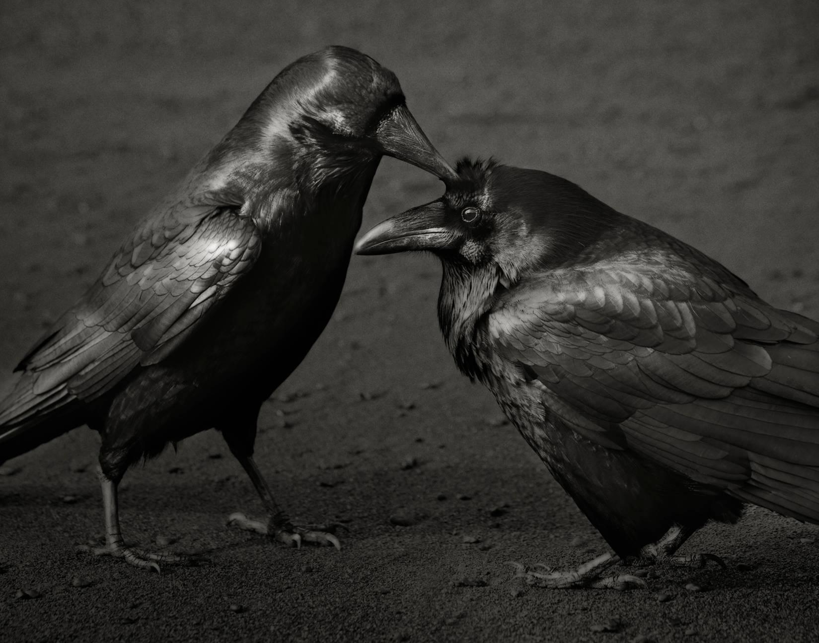 Beth Moon Black and White Photograph - Odin's Cove #7