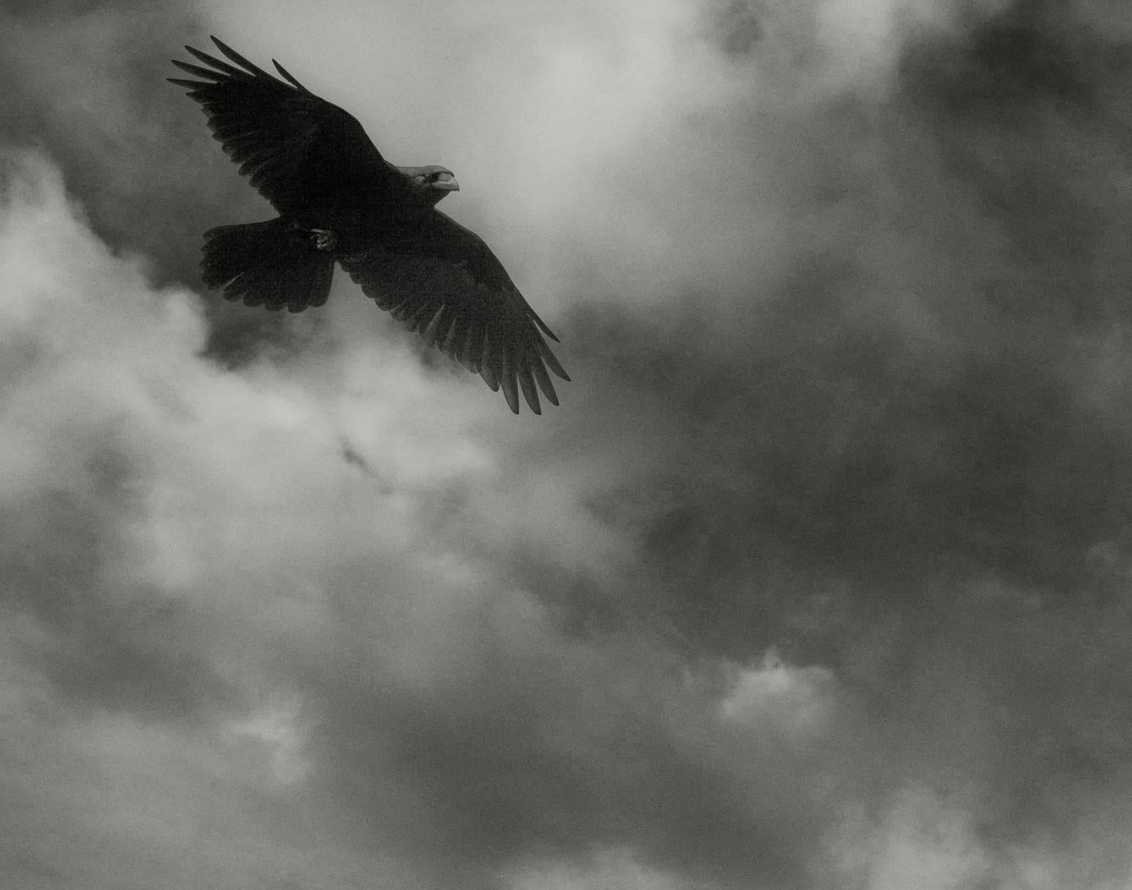 Beth Moon Black and White Photograph – Odin's Cove #8