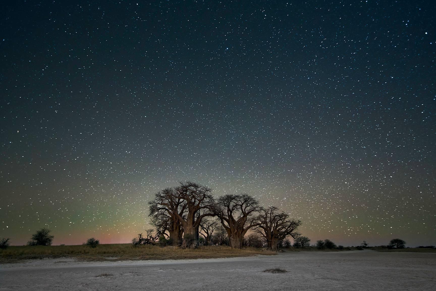 Orion