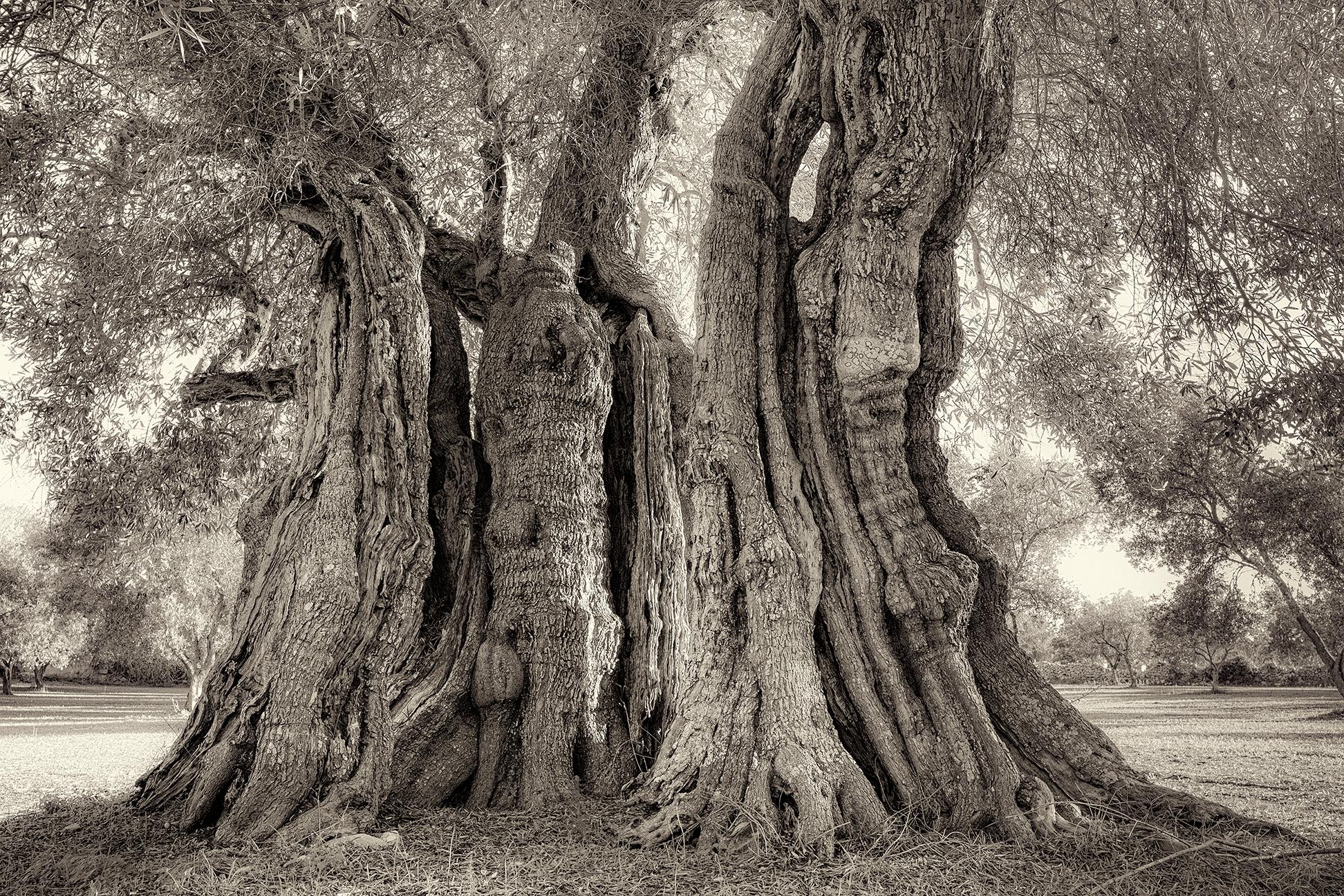 Struda II - Photograph by Beth Moon