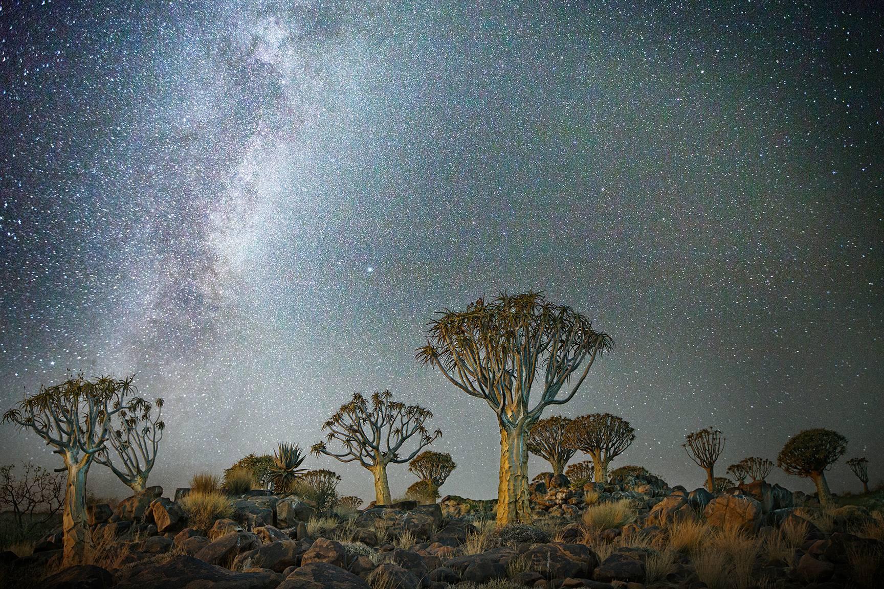 Beth Moon Color Photograph - Triangulum