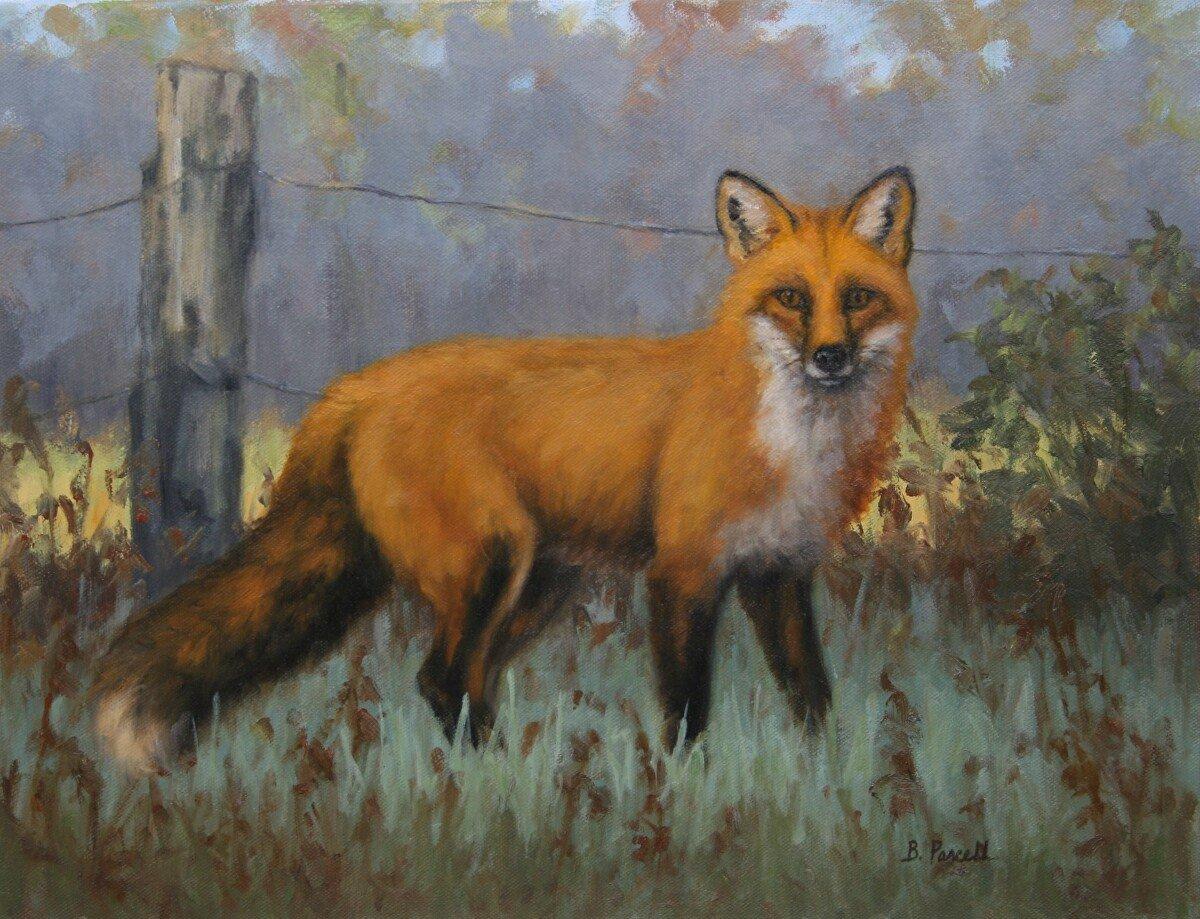Beth Parcell, "Morning Patrol", 14x18 Red Winter Fox Oil Painting on Canvas