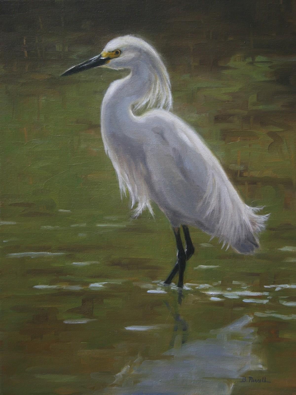 Beth Parcell  Animal Painting - Beth Parcell, "Snowy", 18x14 White Egret Waterscape Oil Painting on Canvas