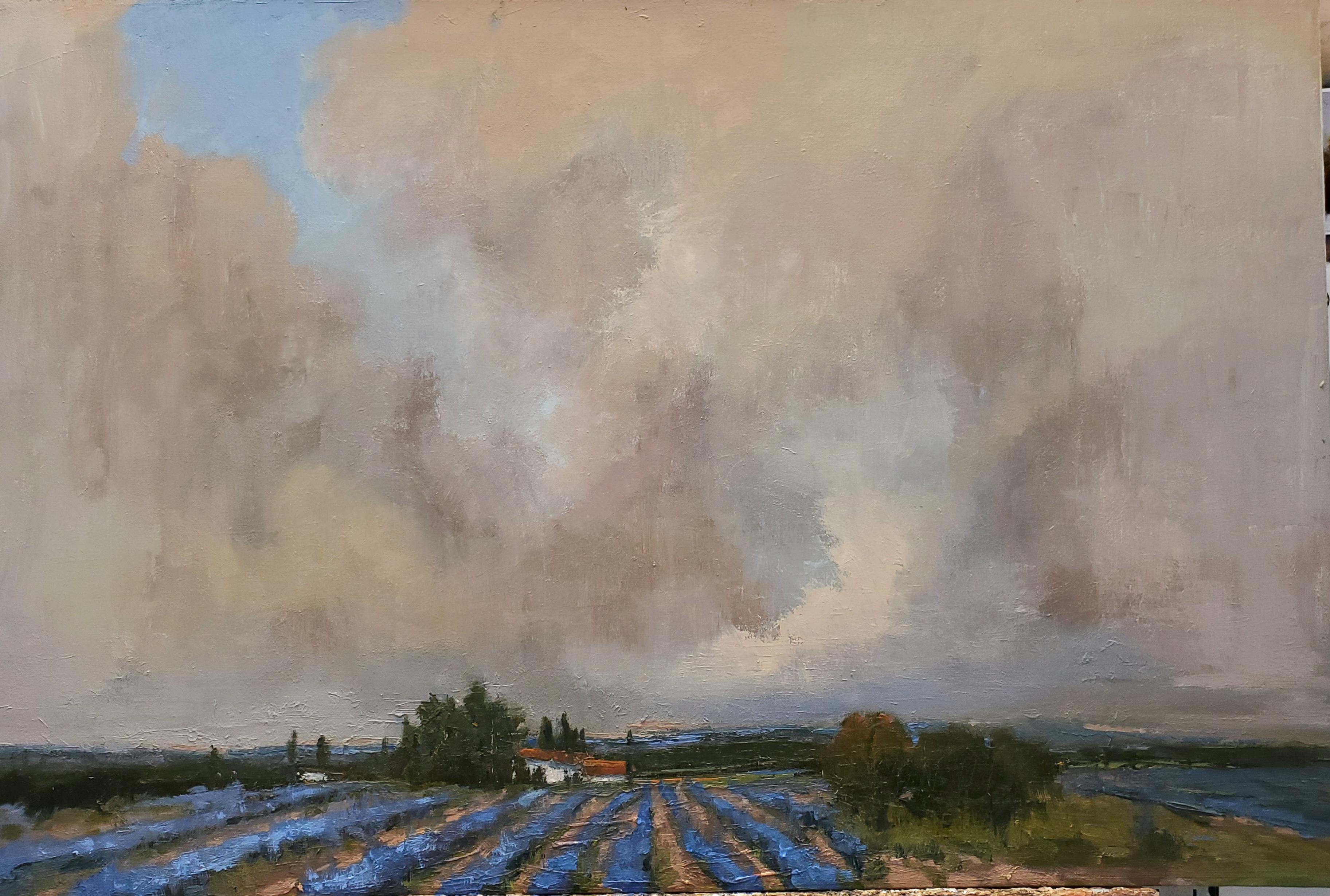 Bethanne Kinsella Cople Landscape Painting - In Hazy Straights the Clouds Between by Bethanne Cople, Oil Framed painting