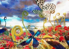 Libellevlucht Foto de vuelo de libélula en Dibond con plexiglás resistente a los rayos UV